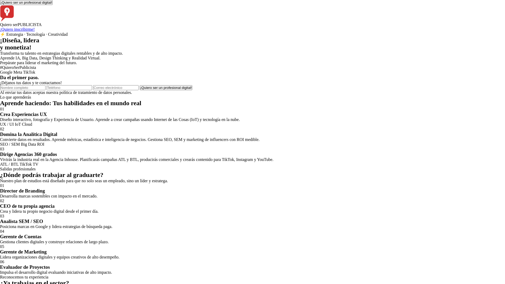 website screenshot of https://quieroserpublicista.com/