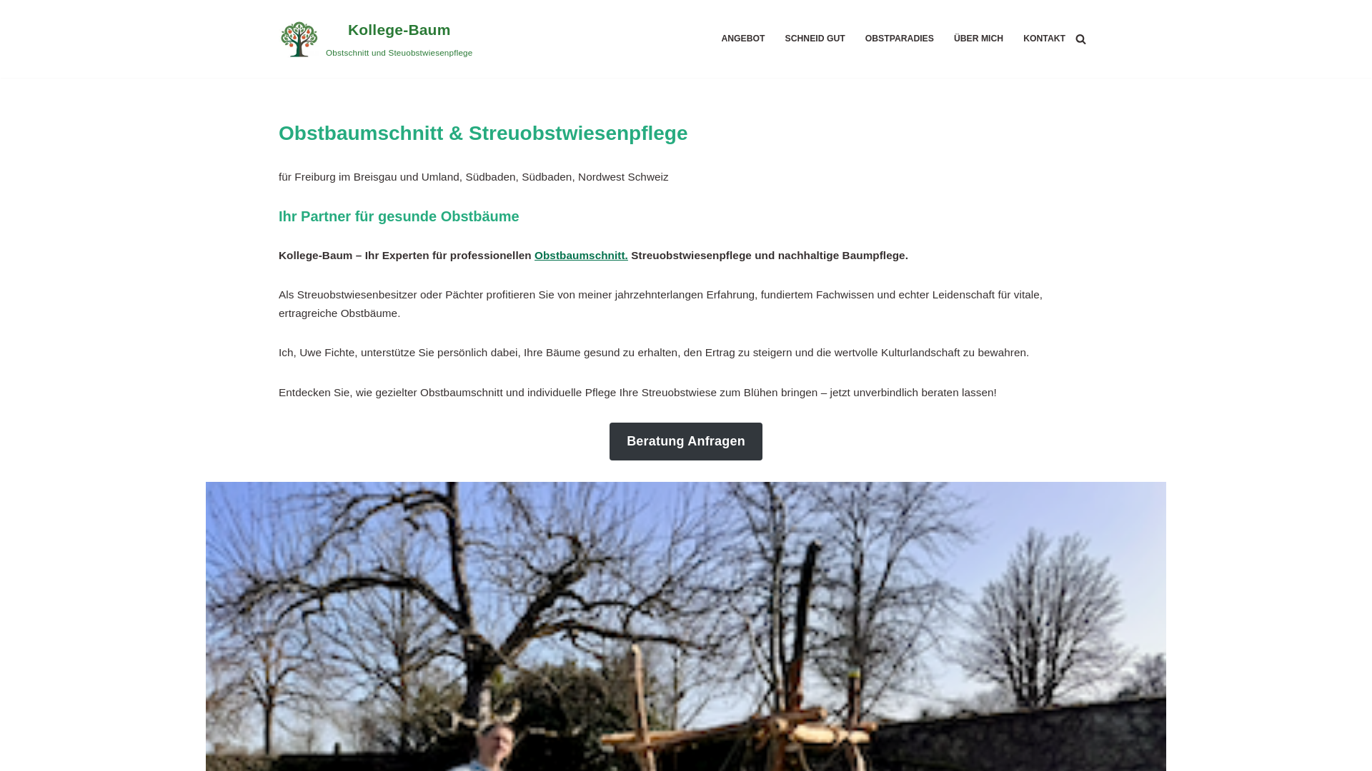 website screenshot of https://kollege-baum.de/