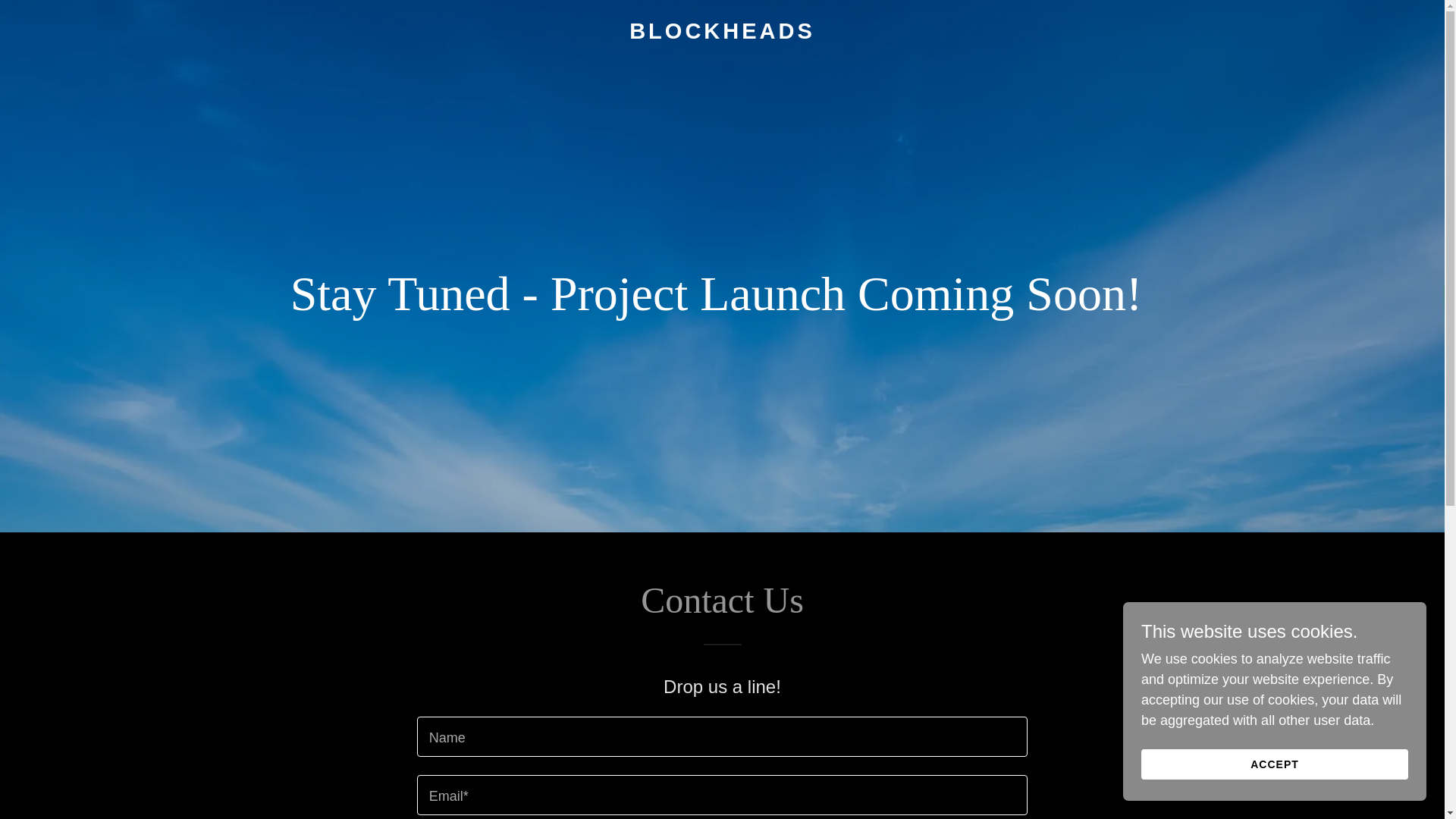 website screenshot of https://blockheads.finance/