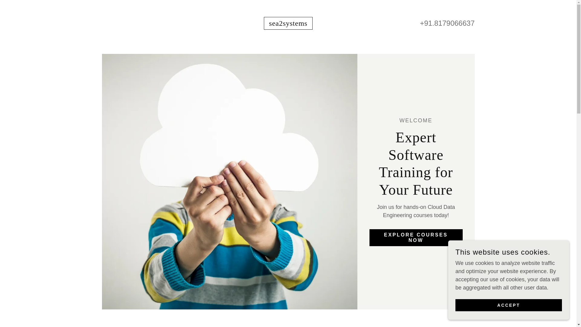 website screenshot of https://sea2systems.com/