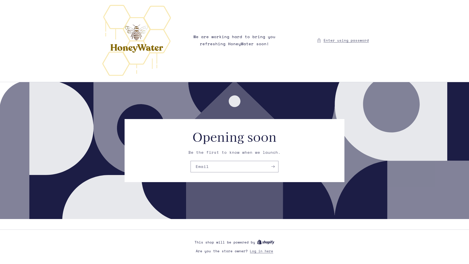 website screenshot of https://honeywater.store/