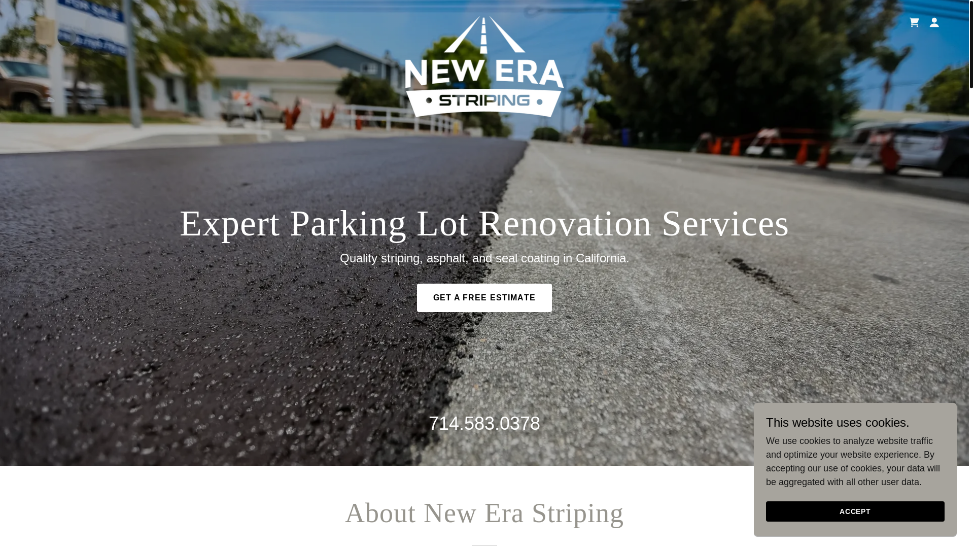 website screenshot of https://newerastriping.net/