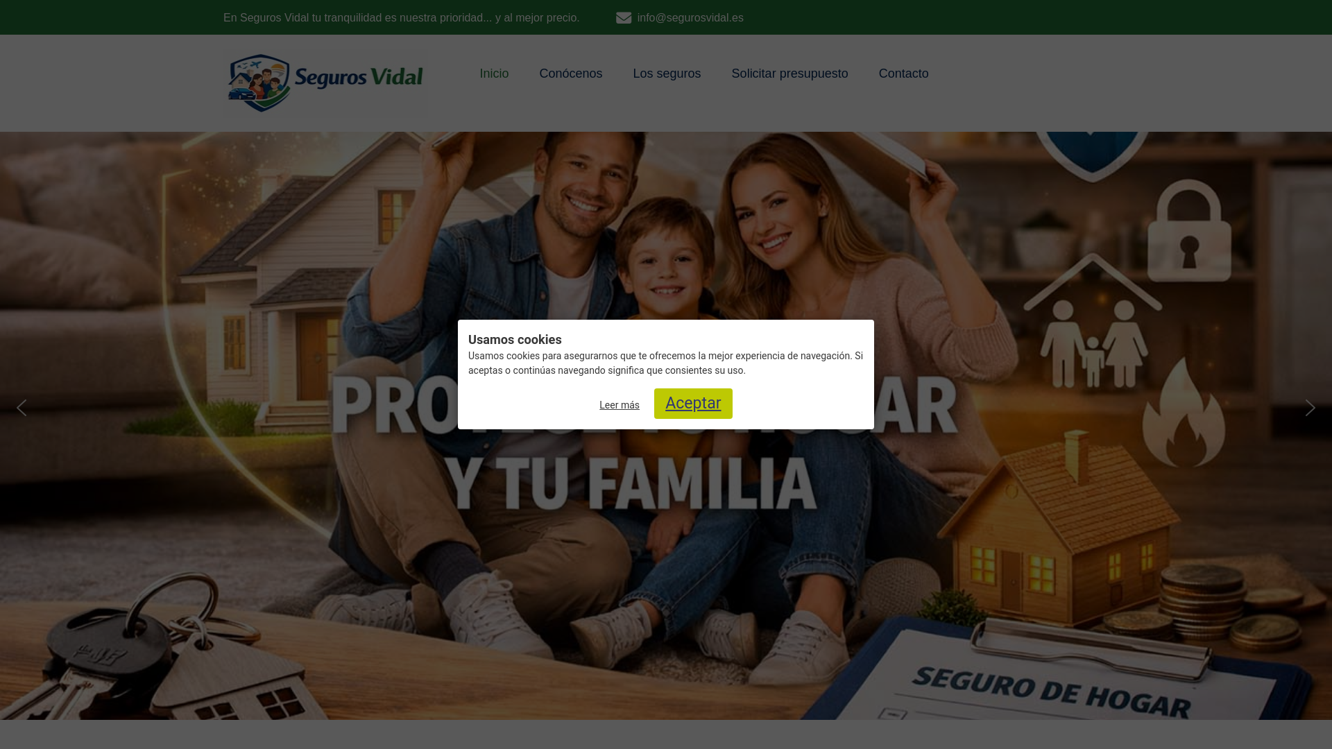website screenshot of https://segurosvidal.es/