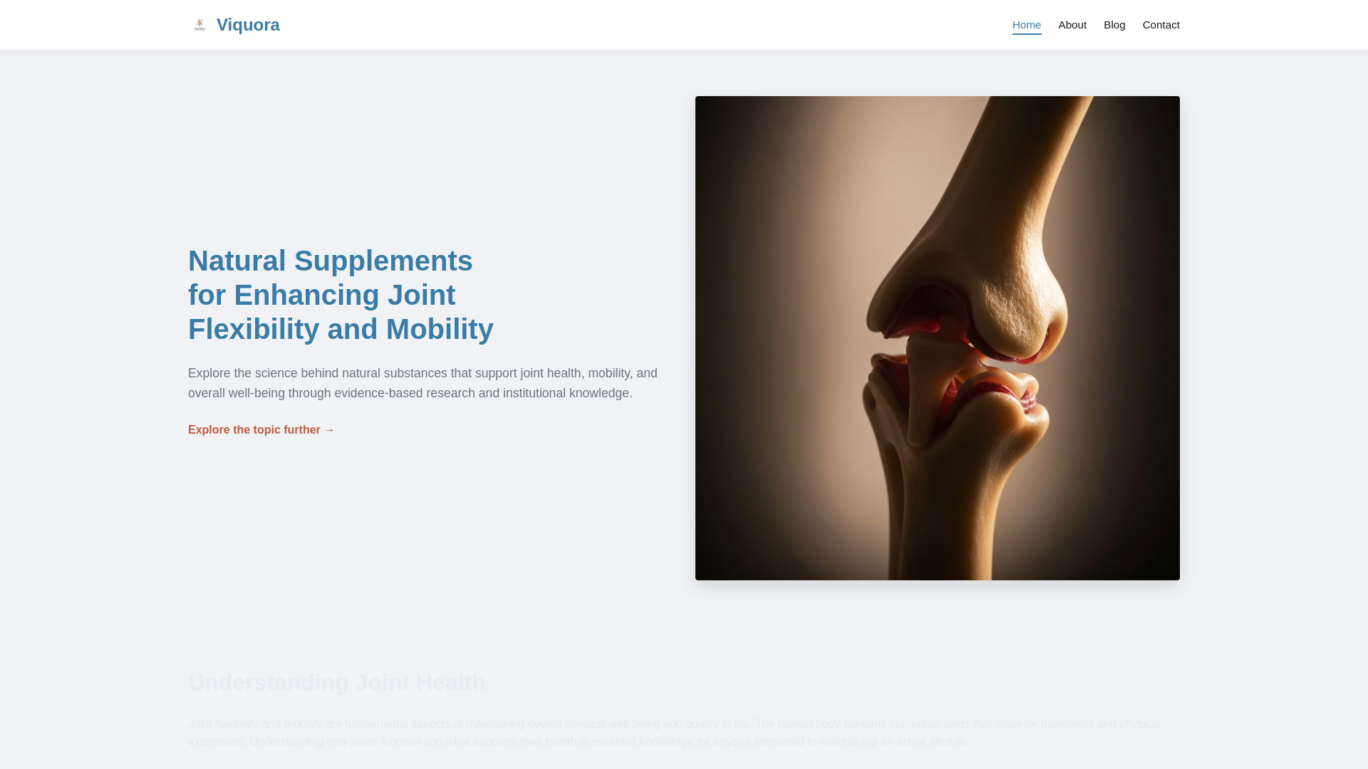 website screenshot of https://viquoratp.info/