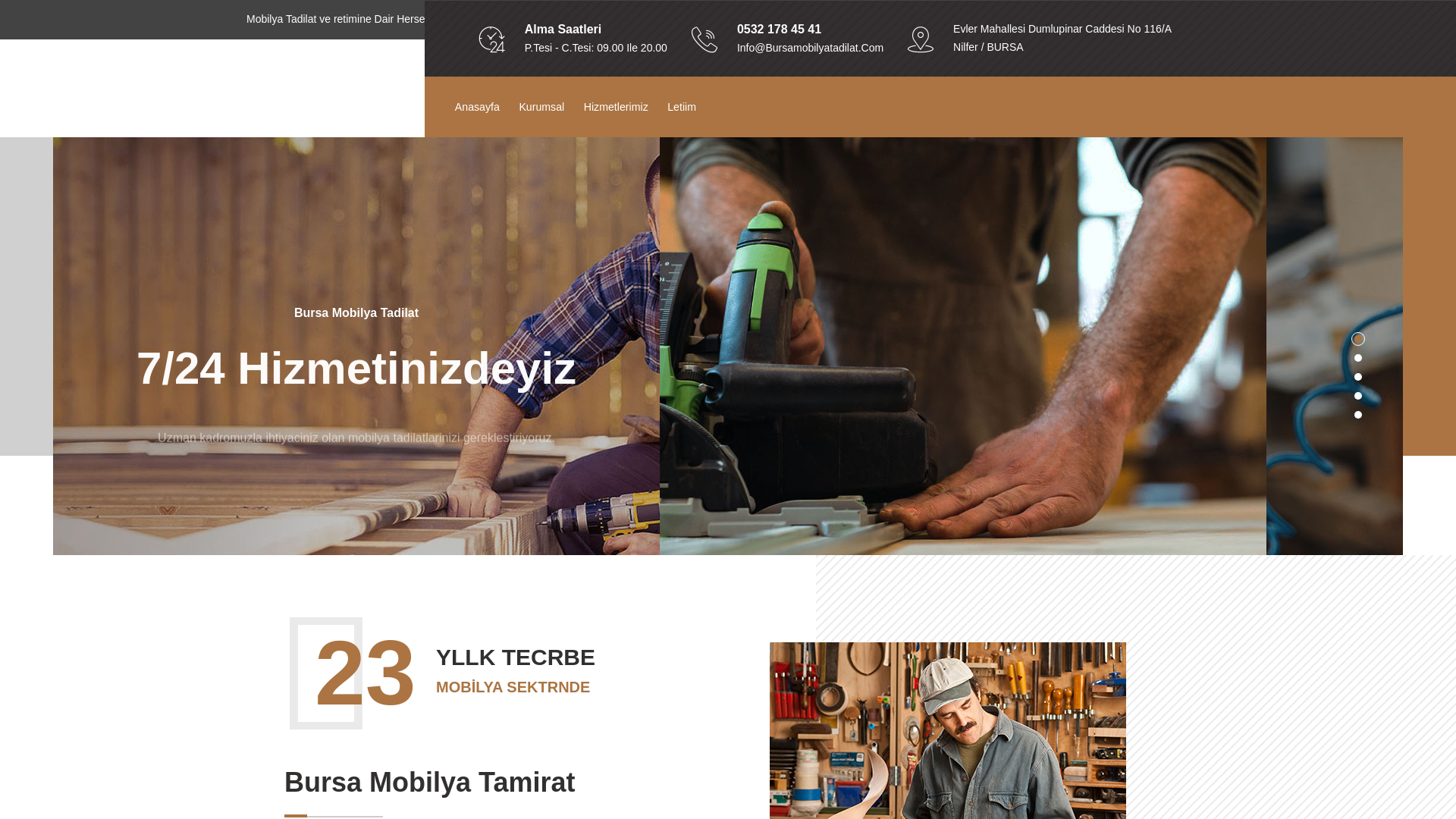 website screenshot of https://pulsereporter.online/