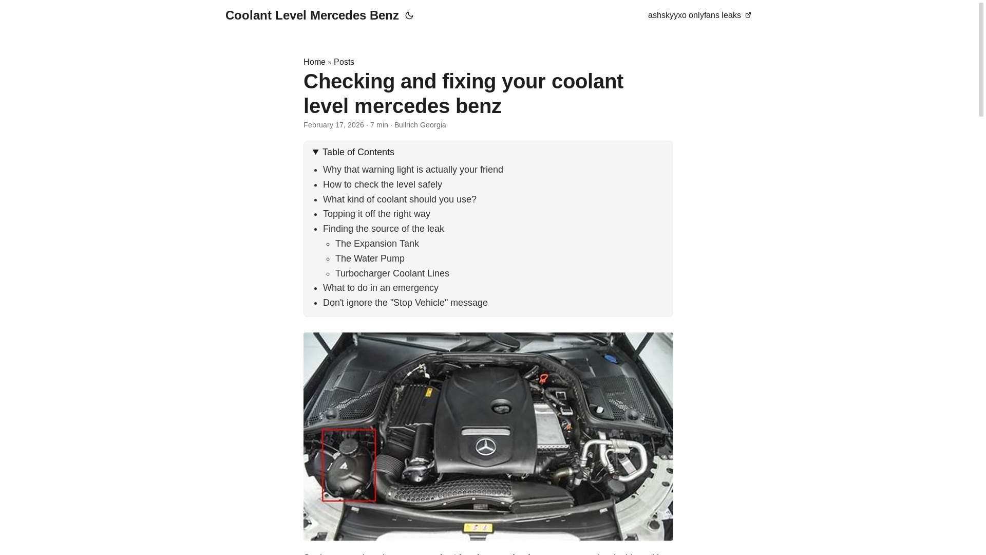 website screenshot of https://coolant-level-mercedes-benz.pages.dev/