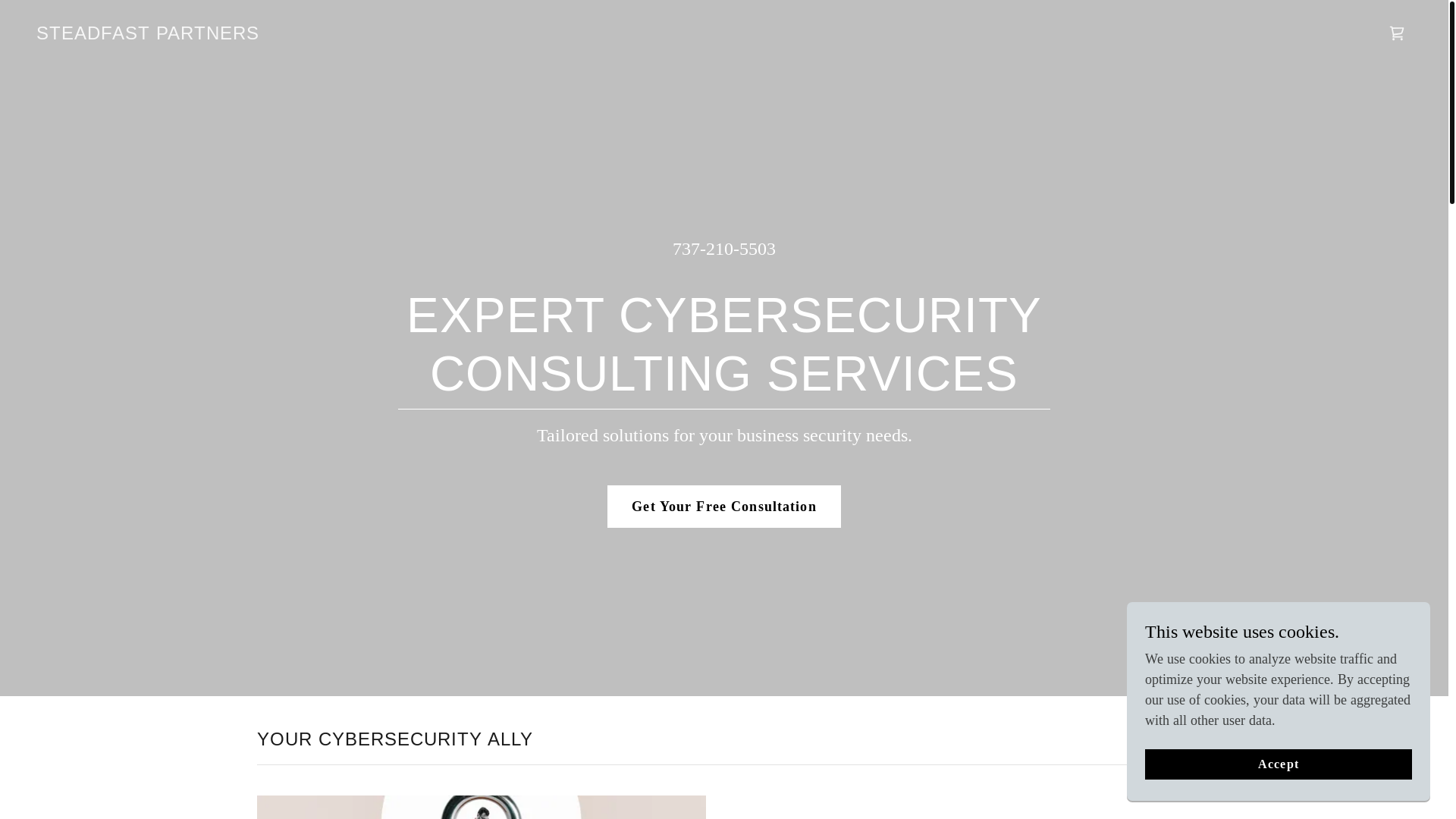 website screenshot of https://steadfastpartners.info/