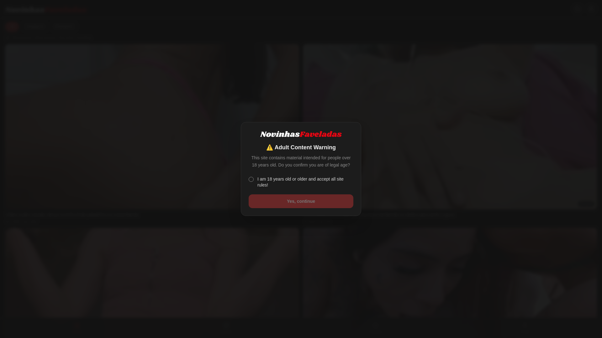 website screenshot of https://novinhasfaveladas.com/