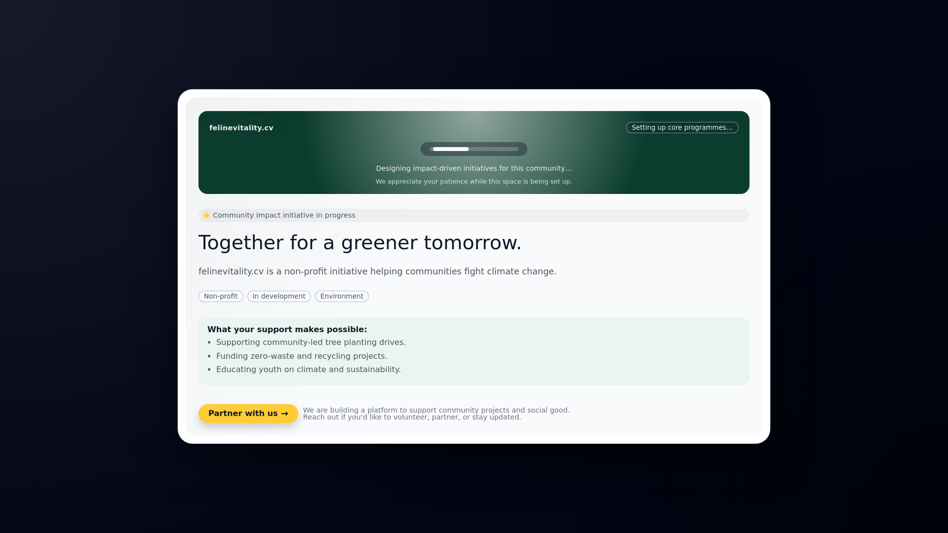 website screenshot of https://felinevitality.cv/