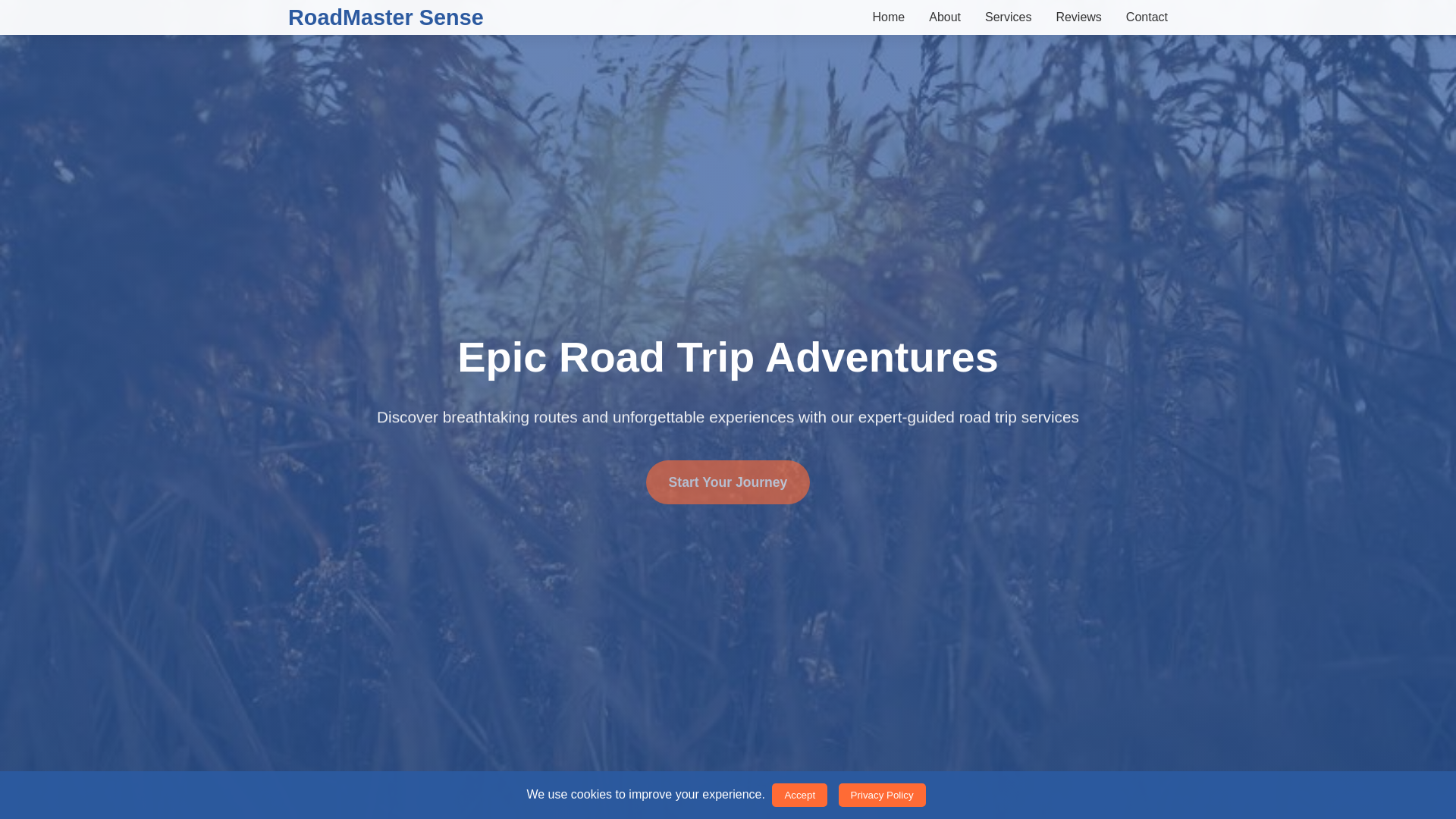 website screenshot of https://roadmastersense.xyz/