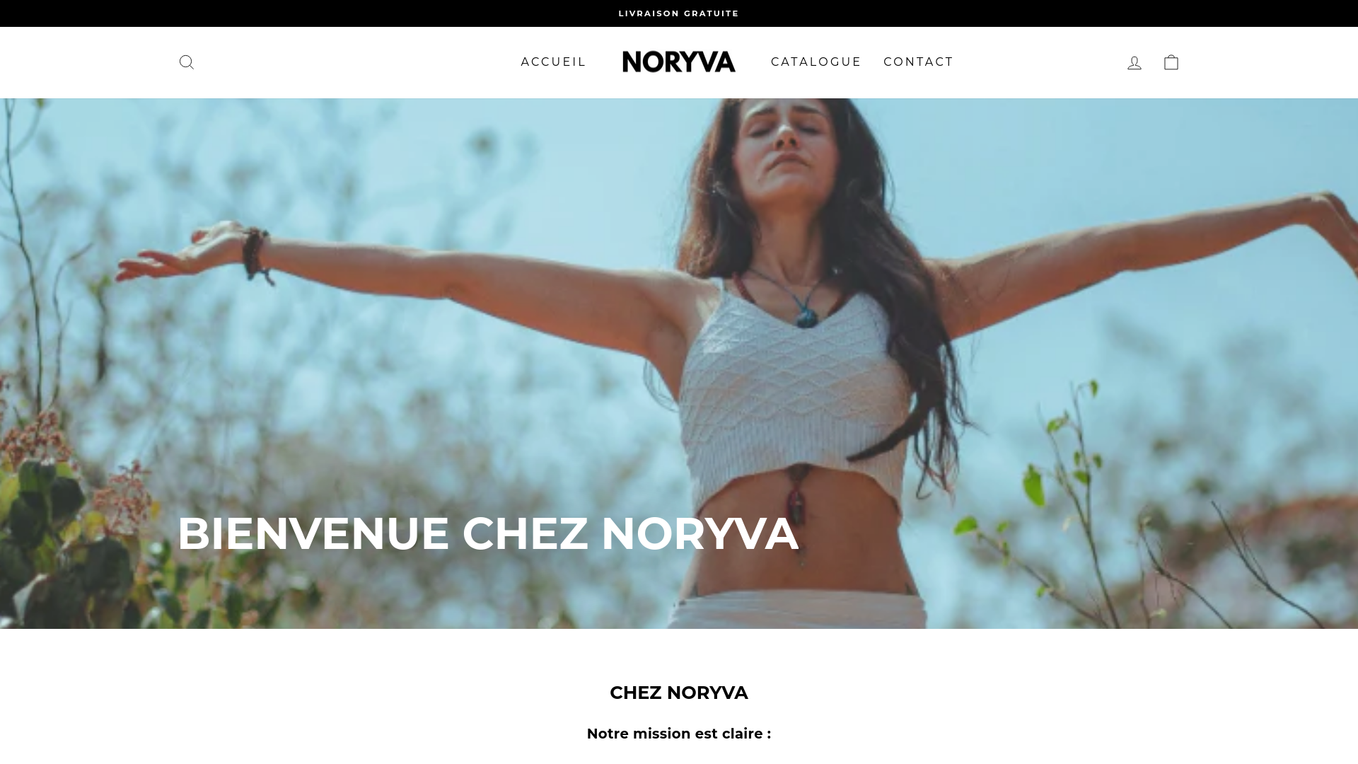 website screenshot of https://noryva.fr/