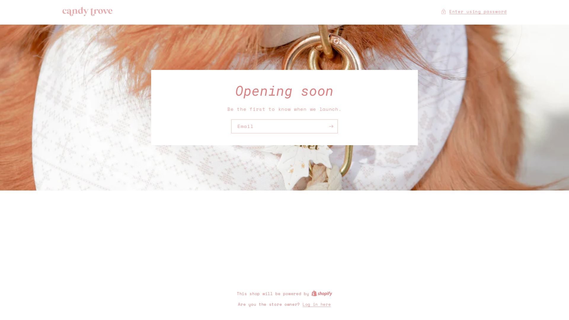 website screenshot of https://candy-trove.com/