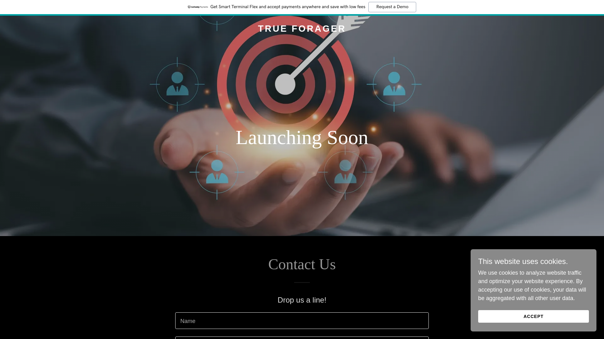 website screenshot of https://jointrueforager.com/