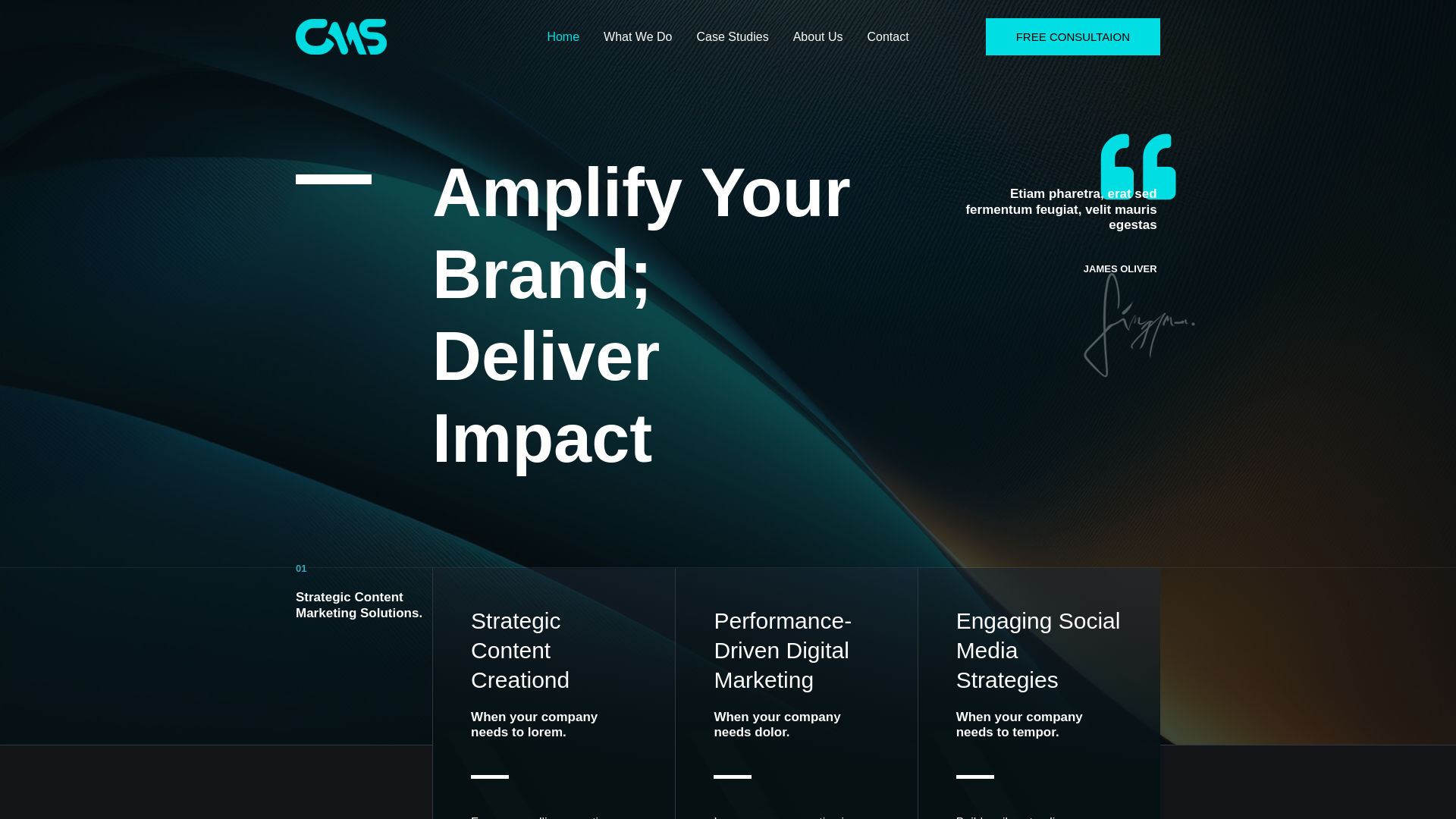 website screenshot of https://cmsagency.co/