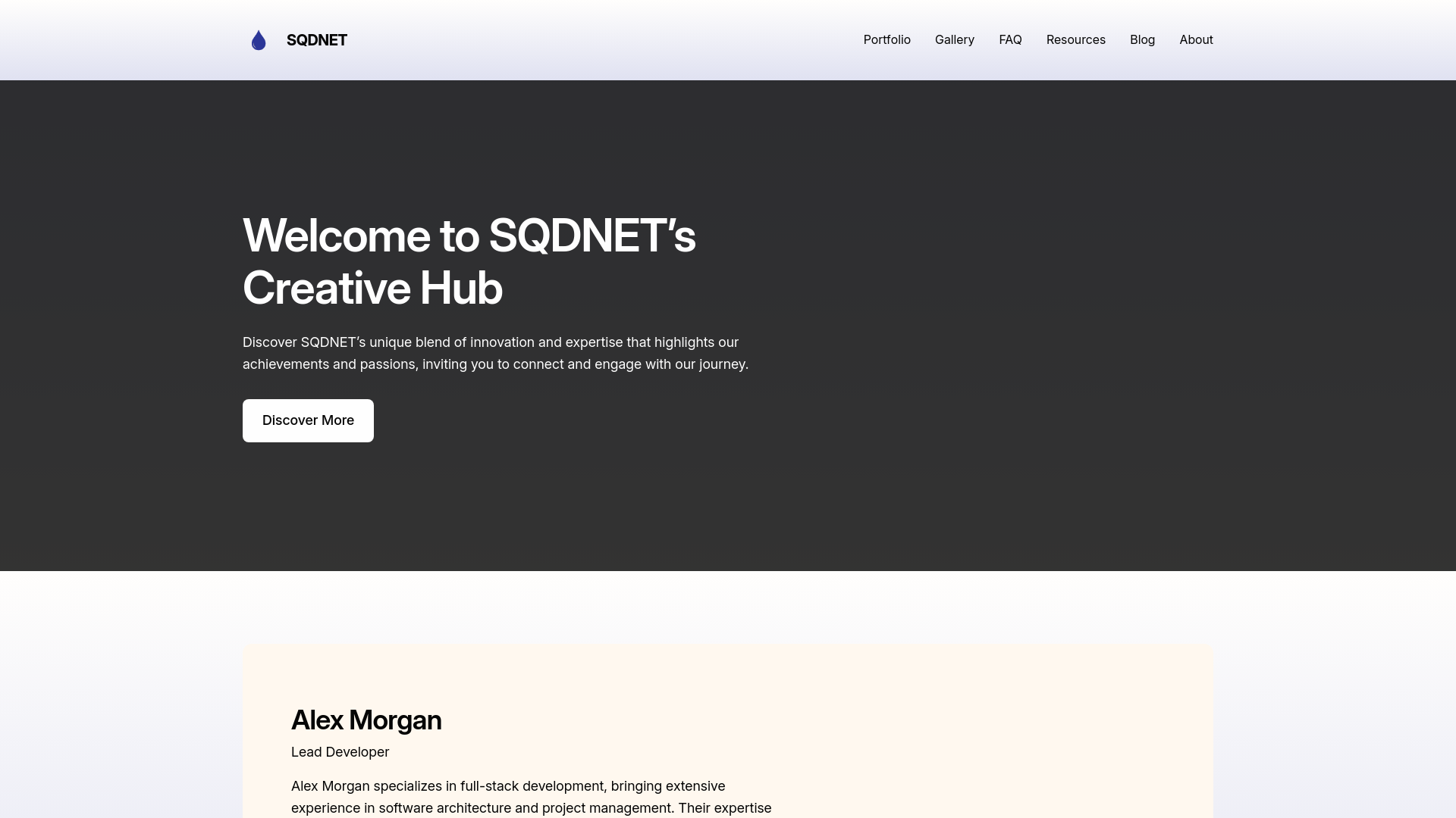 website screenshot of https://sqdnet.org/