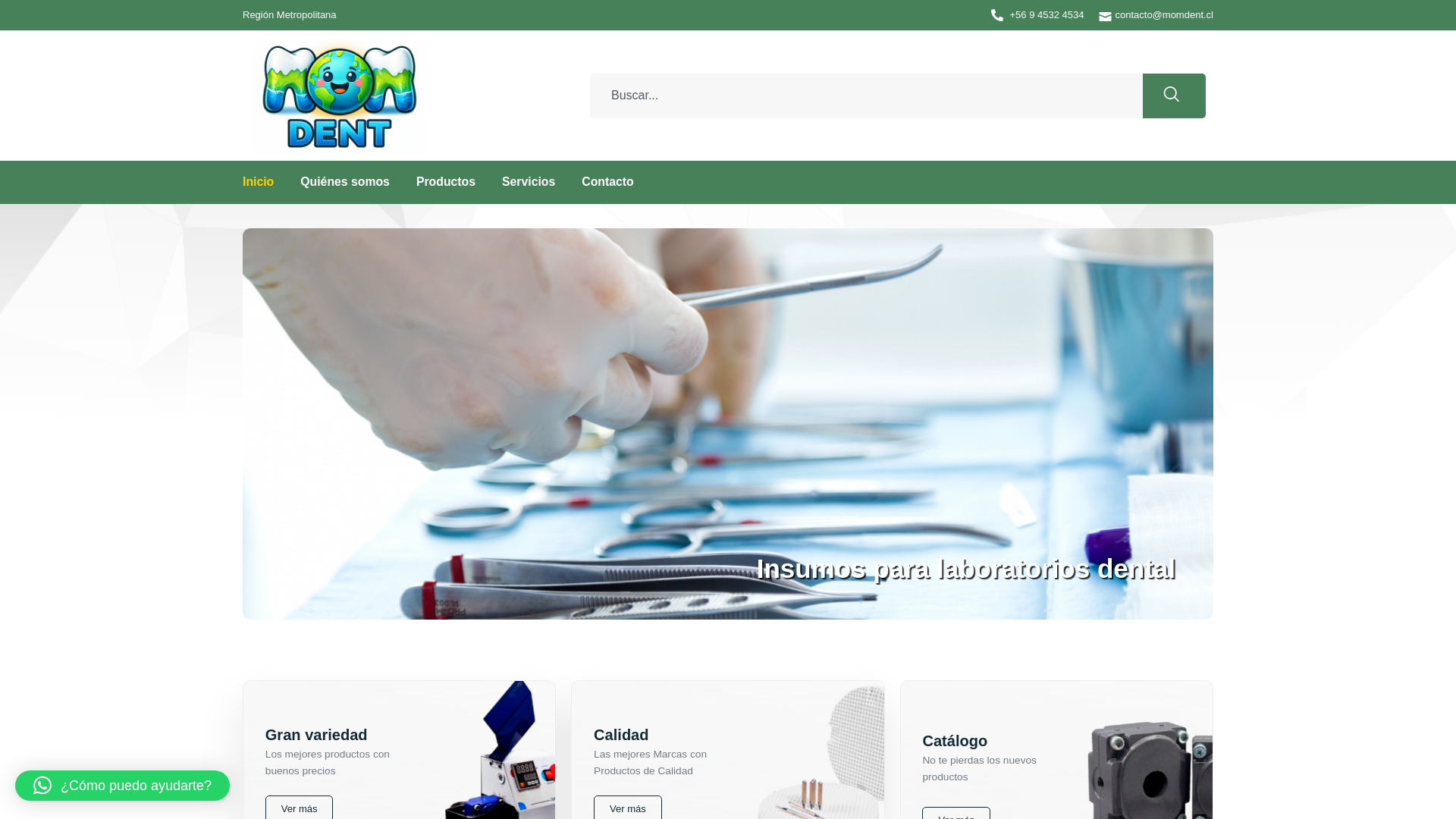 website screenshot of https://momdent.cl/