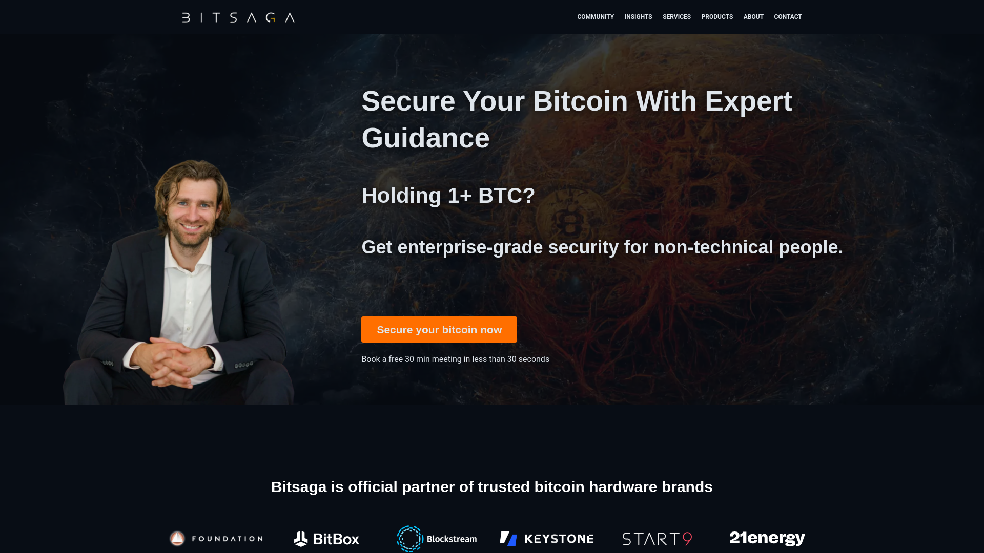 website screenshot of https://bitsagasecurity.com