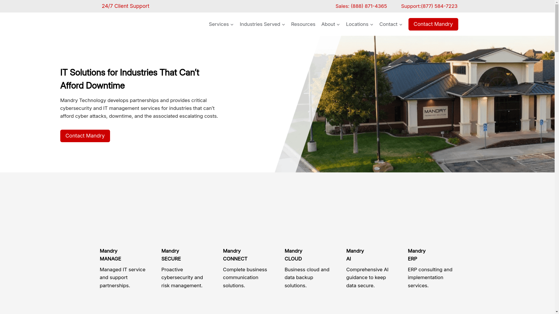 website screenshot of https://mandrymsp.com/