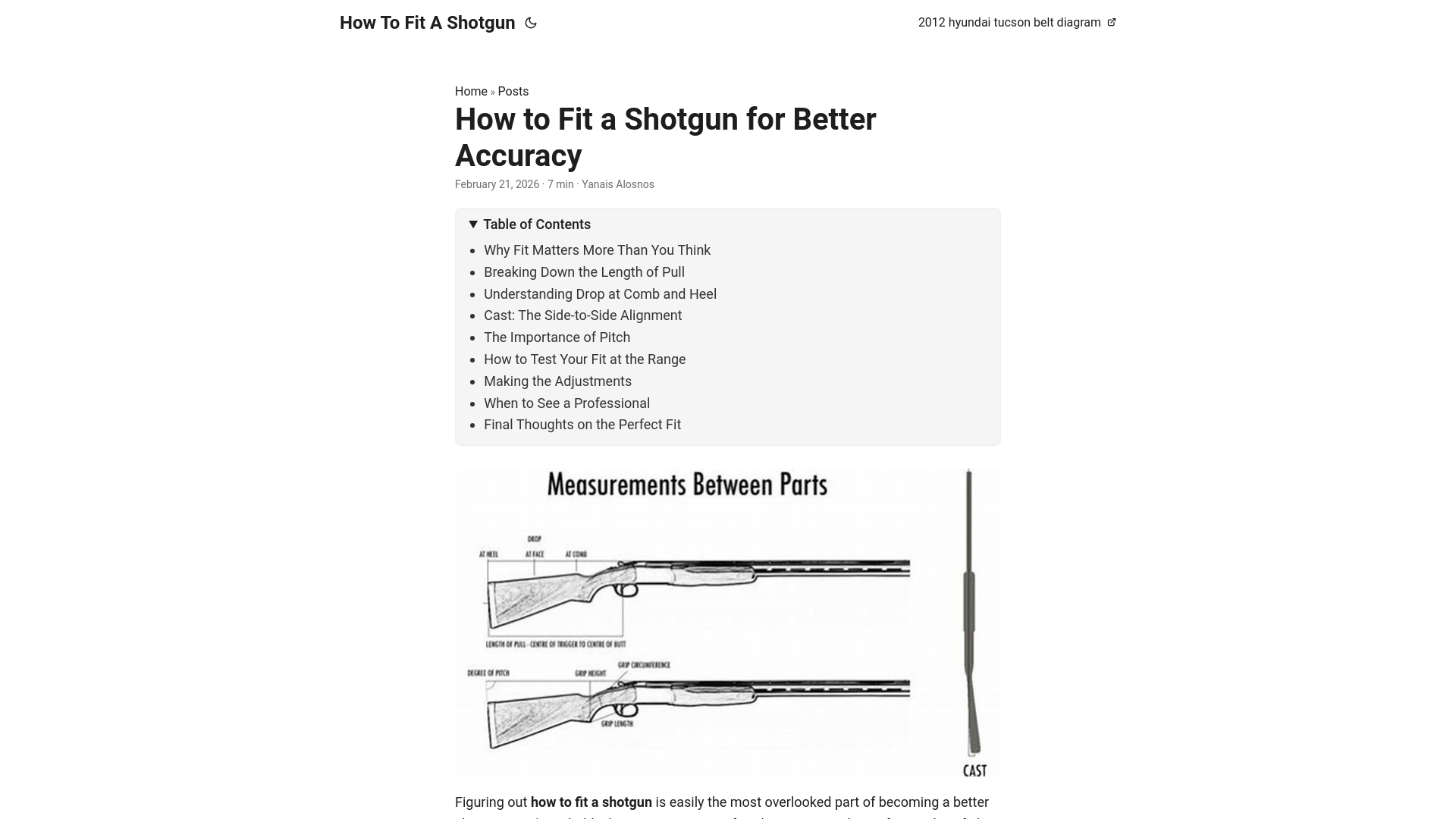 website screenshot of https://how-to-fit-a-shotgun.pages.dev/