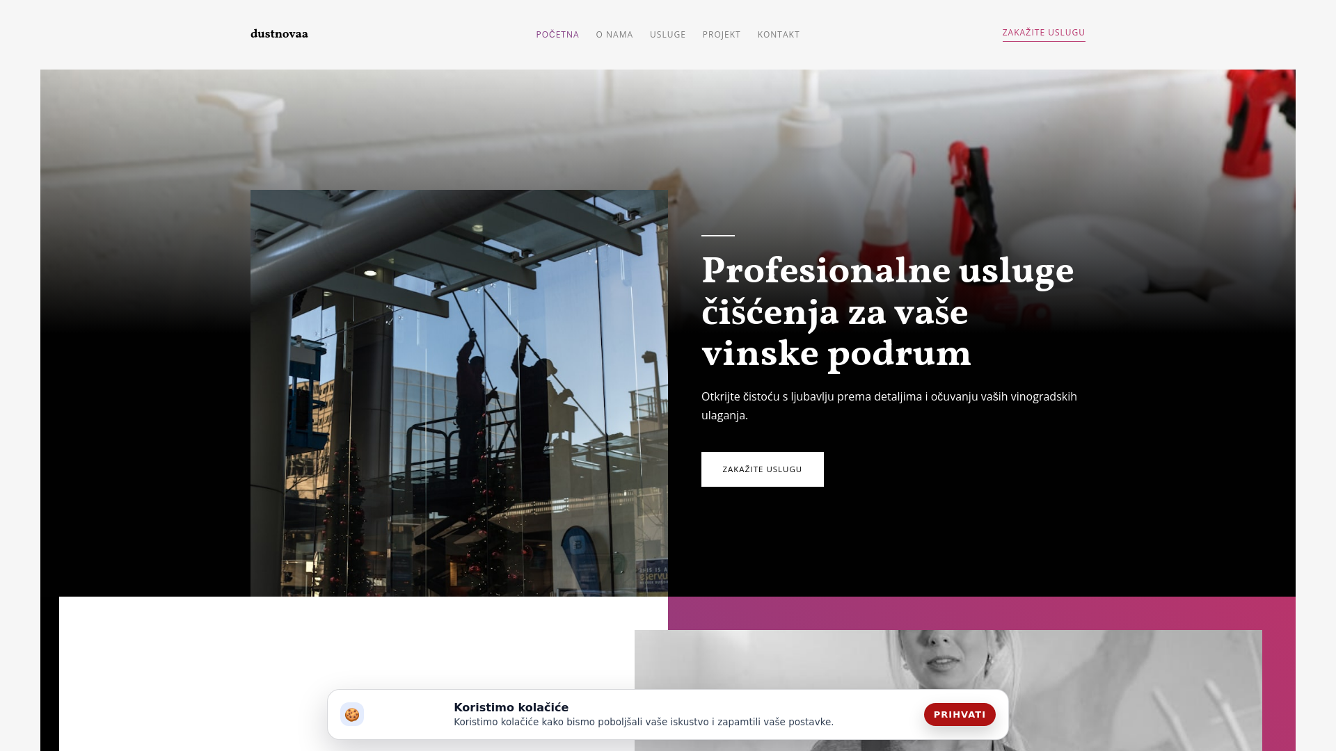 website screenshot of https://dustnovaa.company/