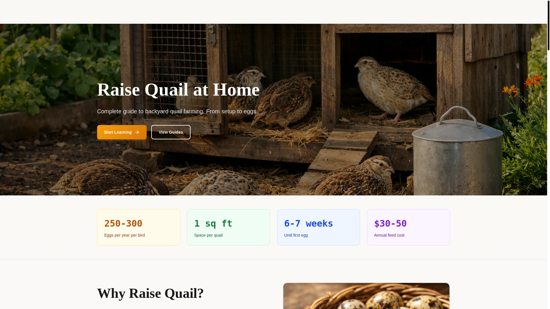 website screenshot of https://backyardquailhub.com/