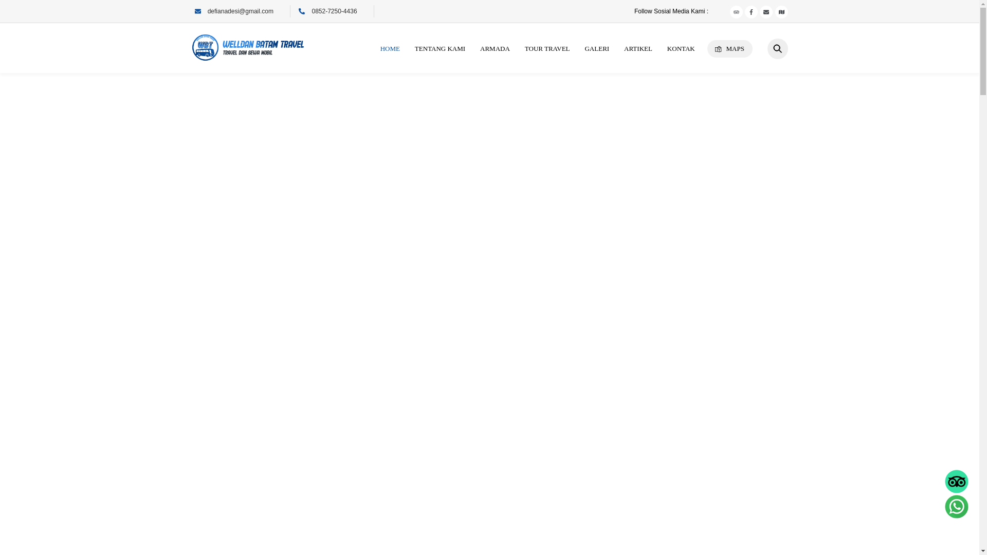 website screenshot of https://busrentalbatamdesi.com/