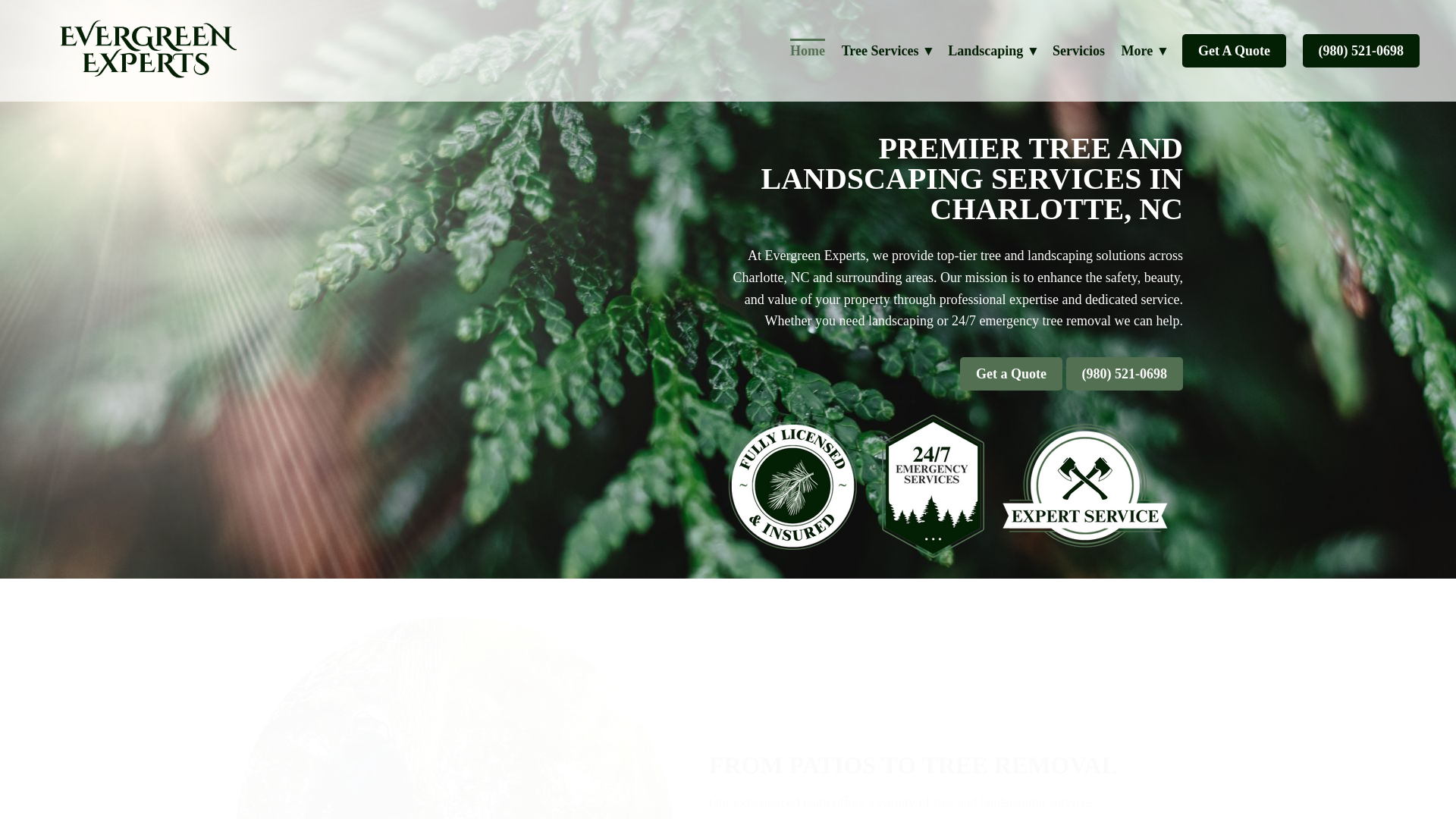 website screenshot of https://evergreenexpertsmanagment.com