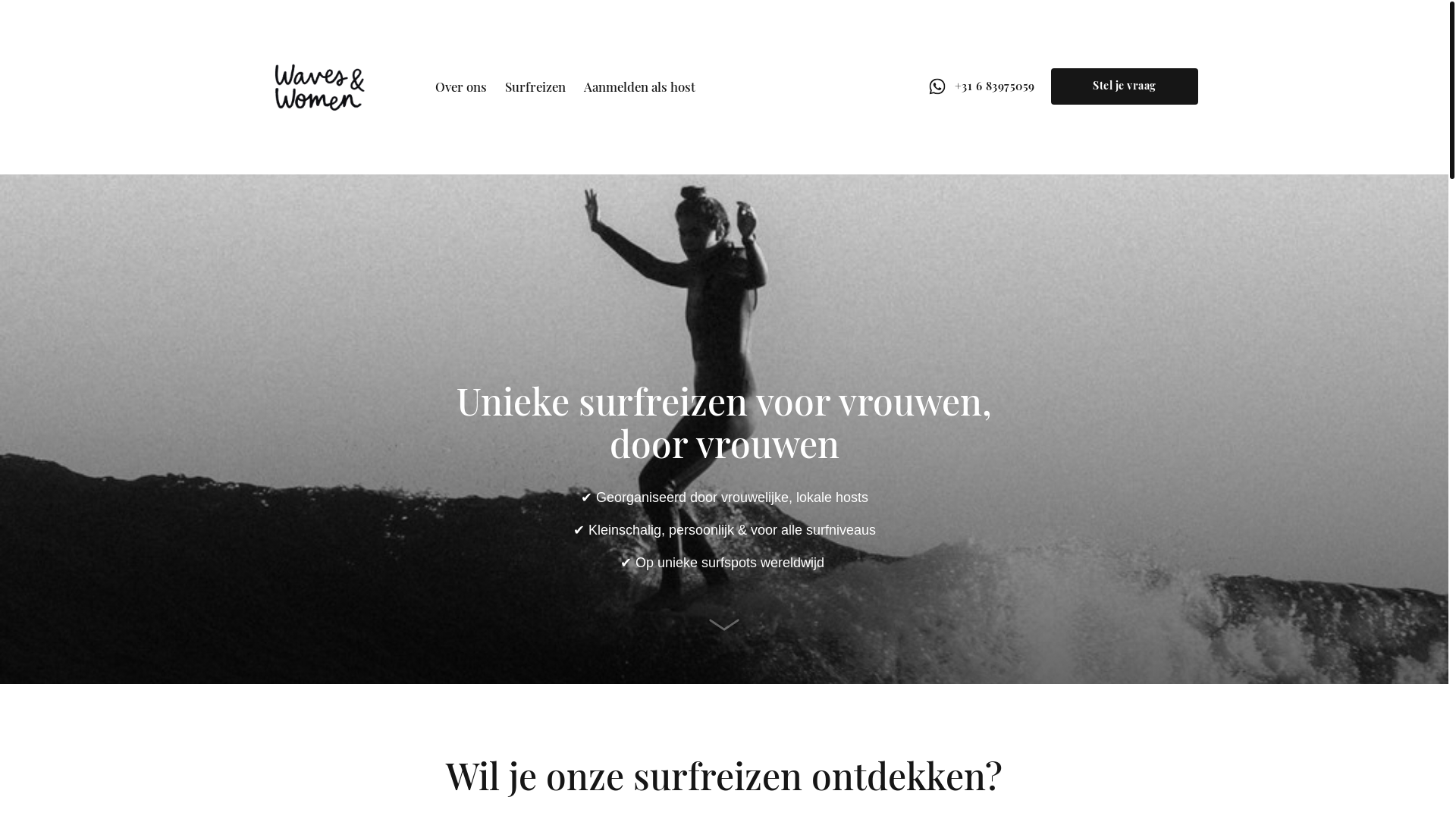 website screenshot of https://wavesandwomen.nl/