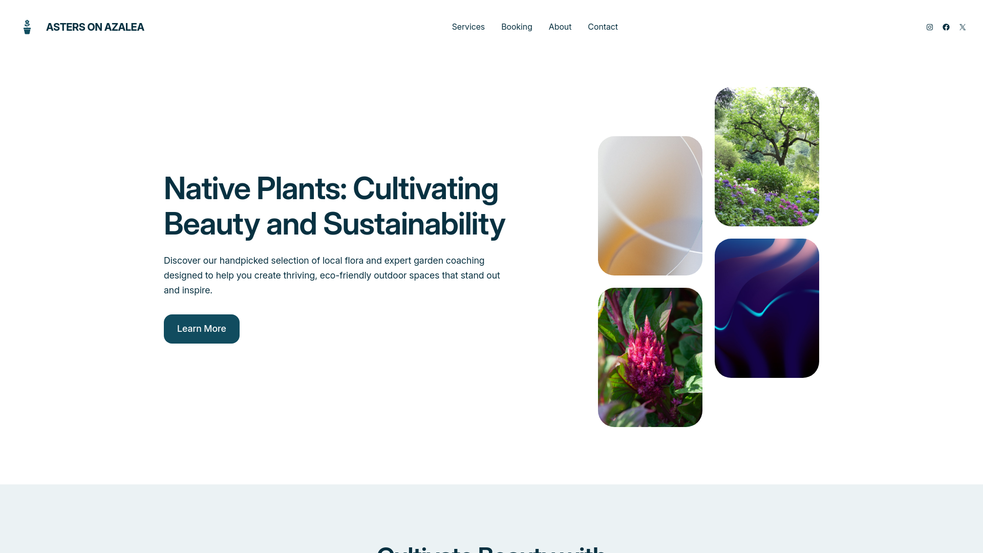 website screenshot of https://astersonazalea.com/