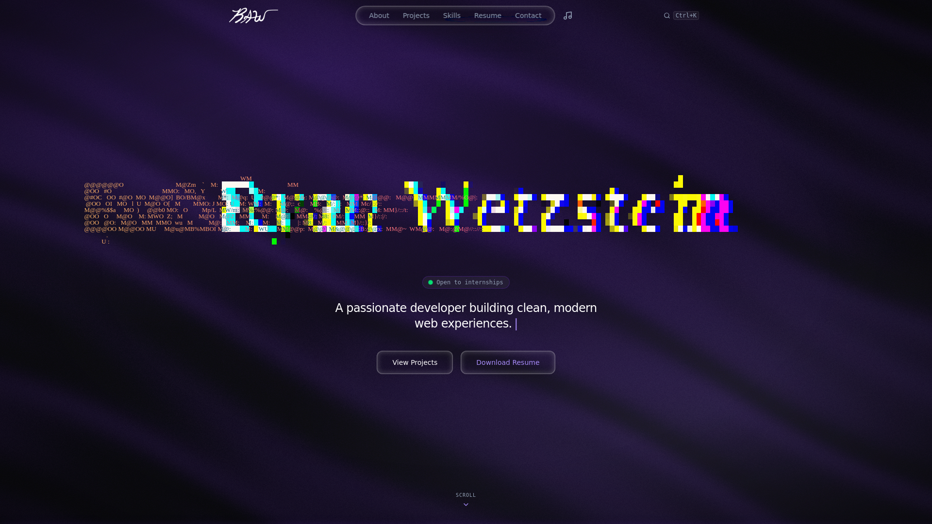 website screenshot of https://ryanwetzstein.com/