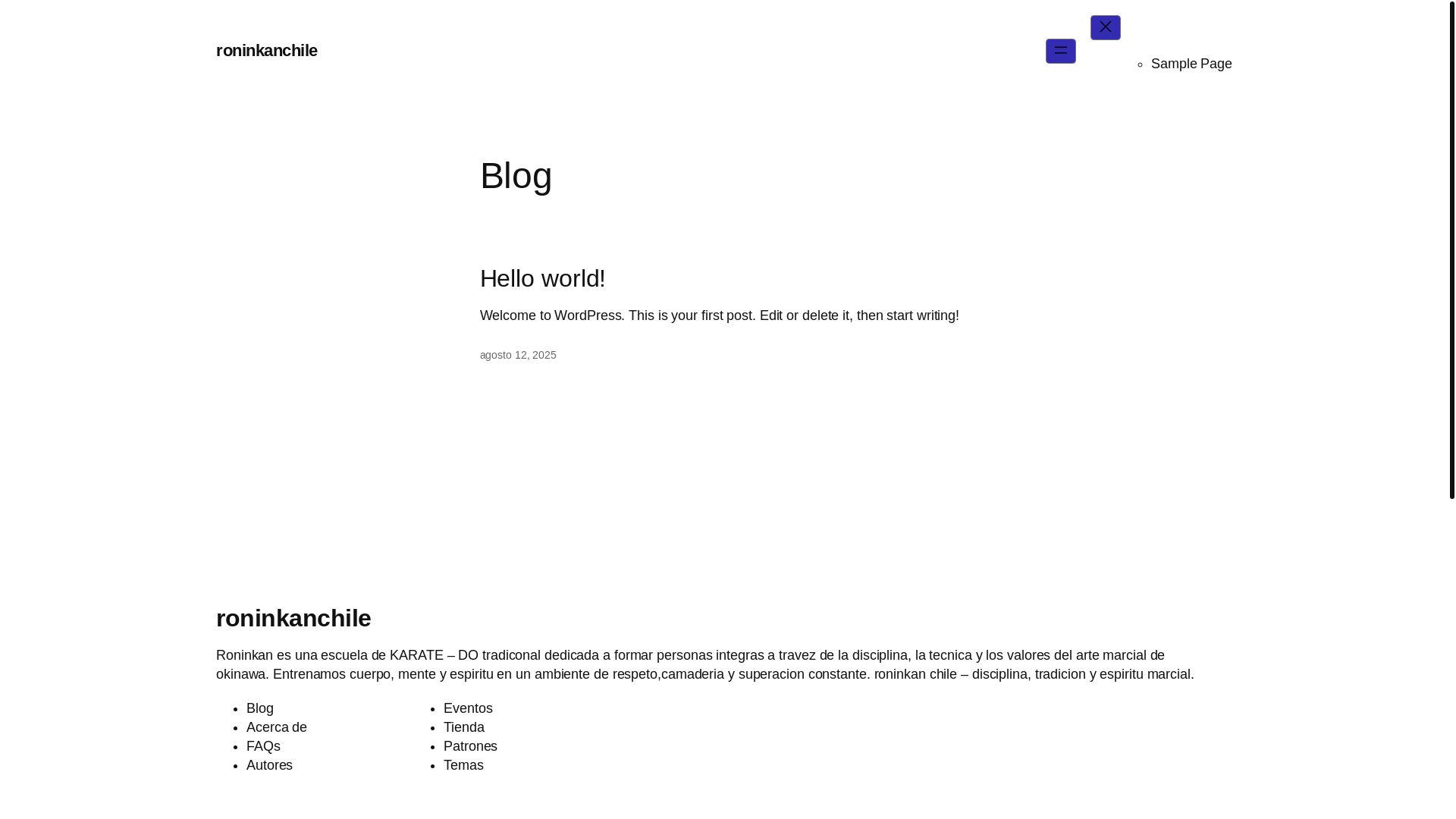 website screenshot of https://roninkanchile.cl/