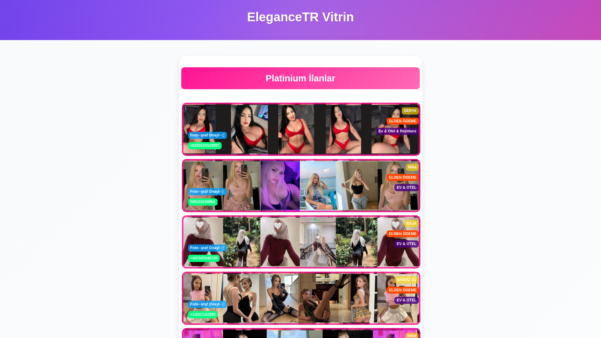 website screenshot of https://mersin-note.lol/