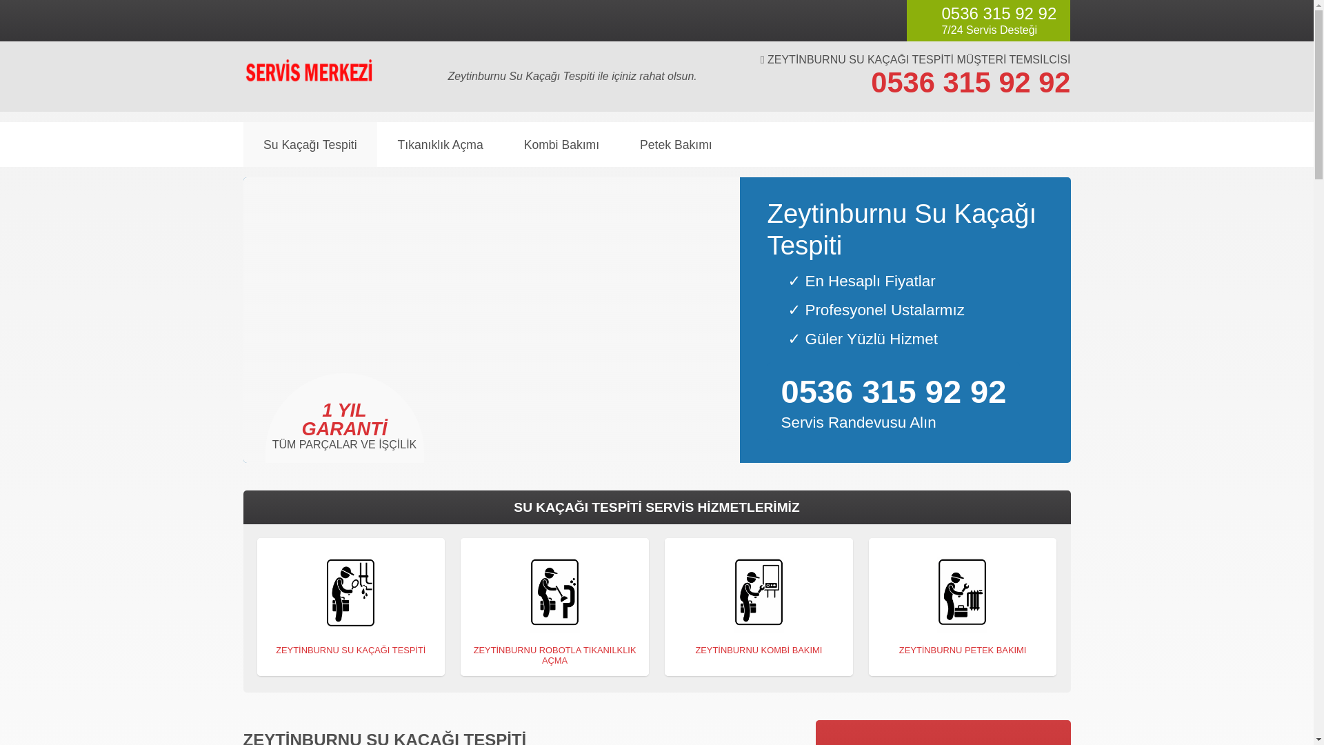 website screenshot of https://zeytinburnusukacagitespiti.com.tr/