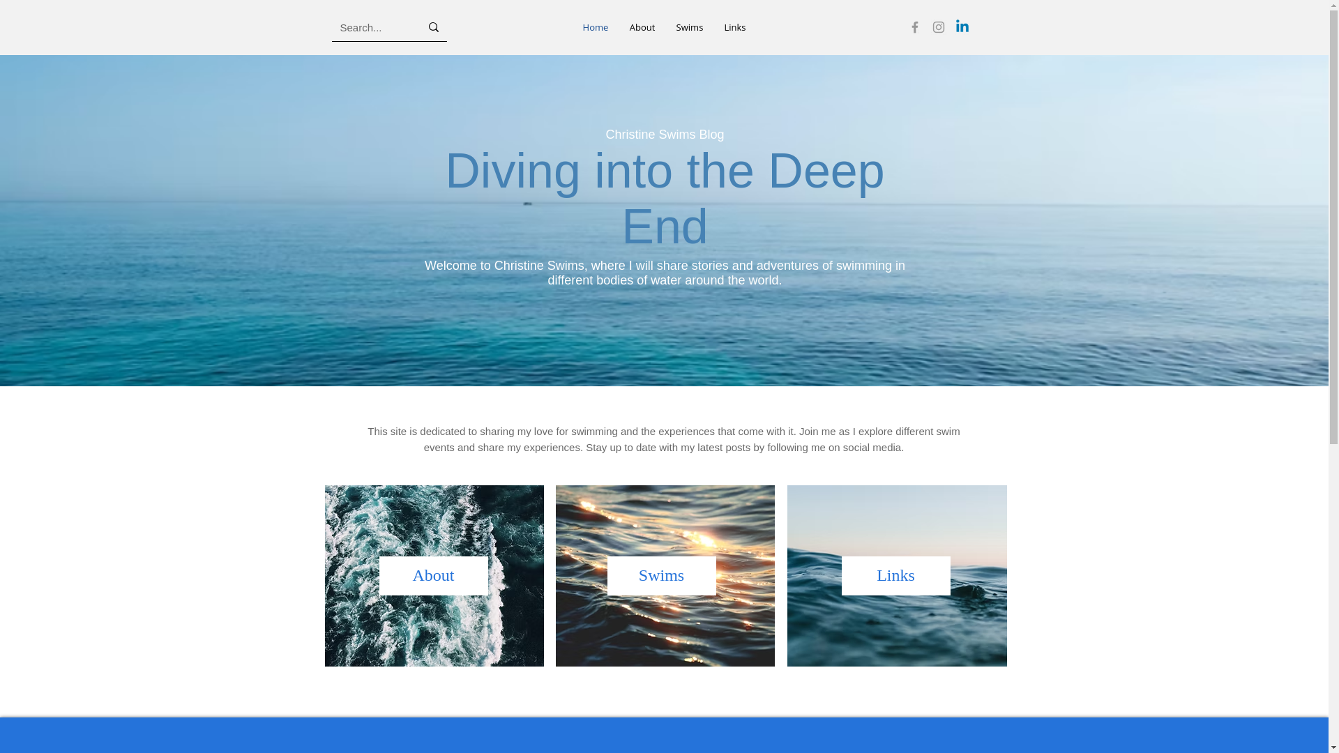 website screenshot of https://swimwithchristine.com/