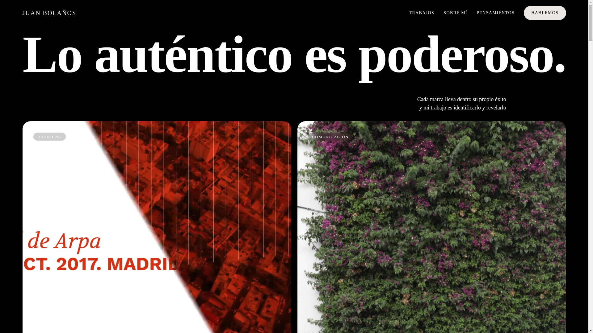 website screenshot of https://juanbolanos.com/