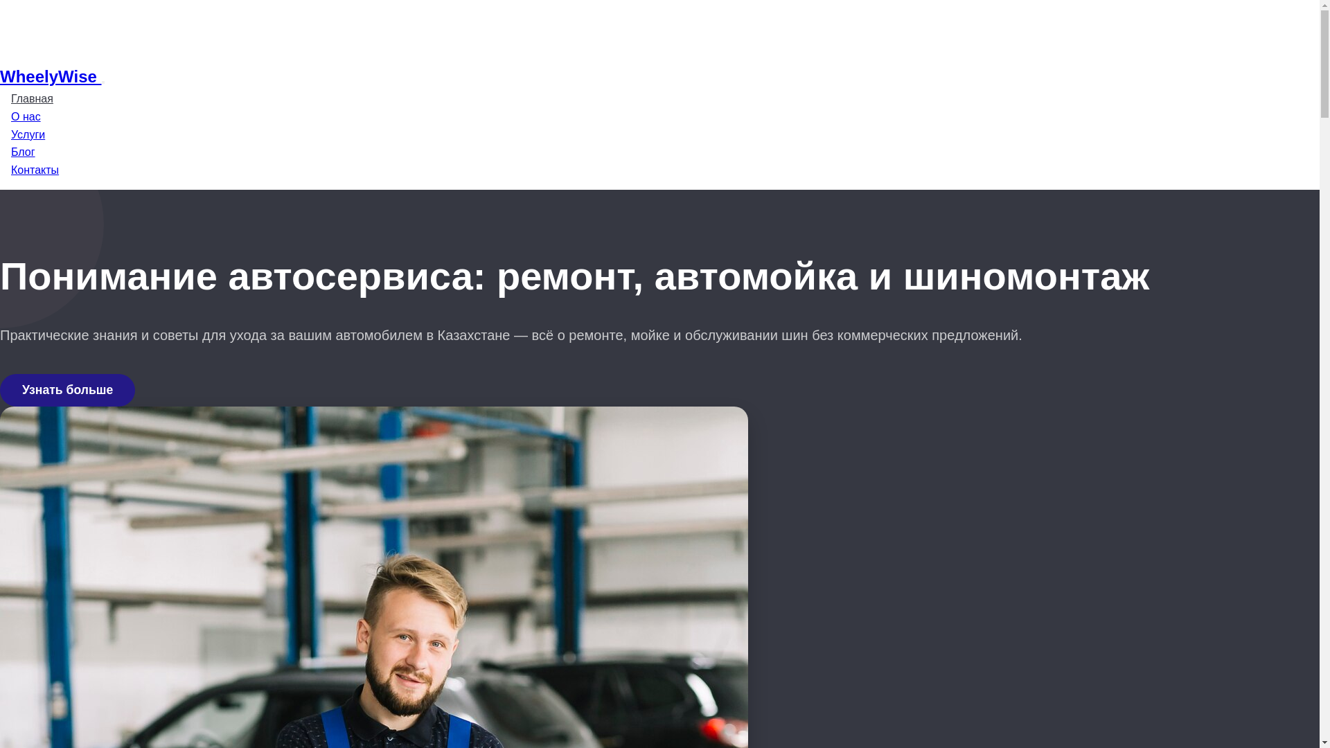 website screenshot of https://wheelywisekz.com/