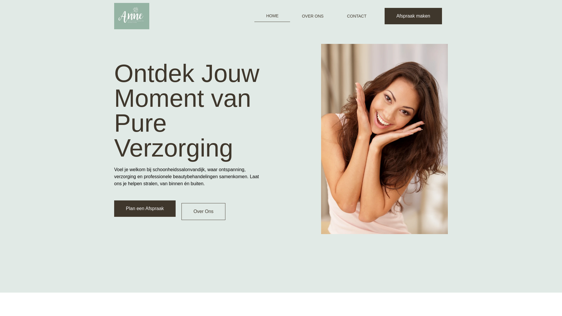 website screenshot of https://schoonheidssalonvandijk.pages.dev/