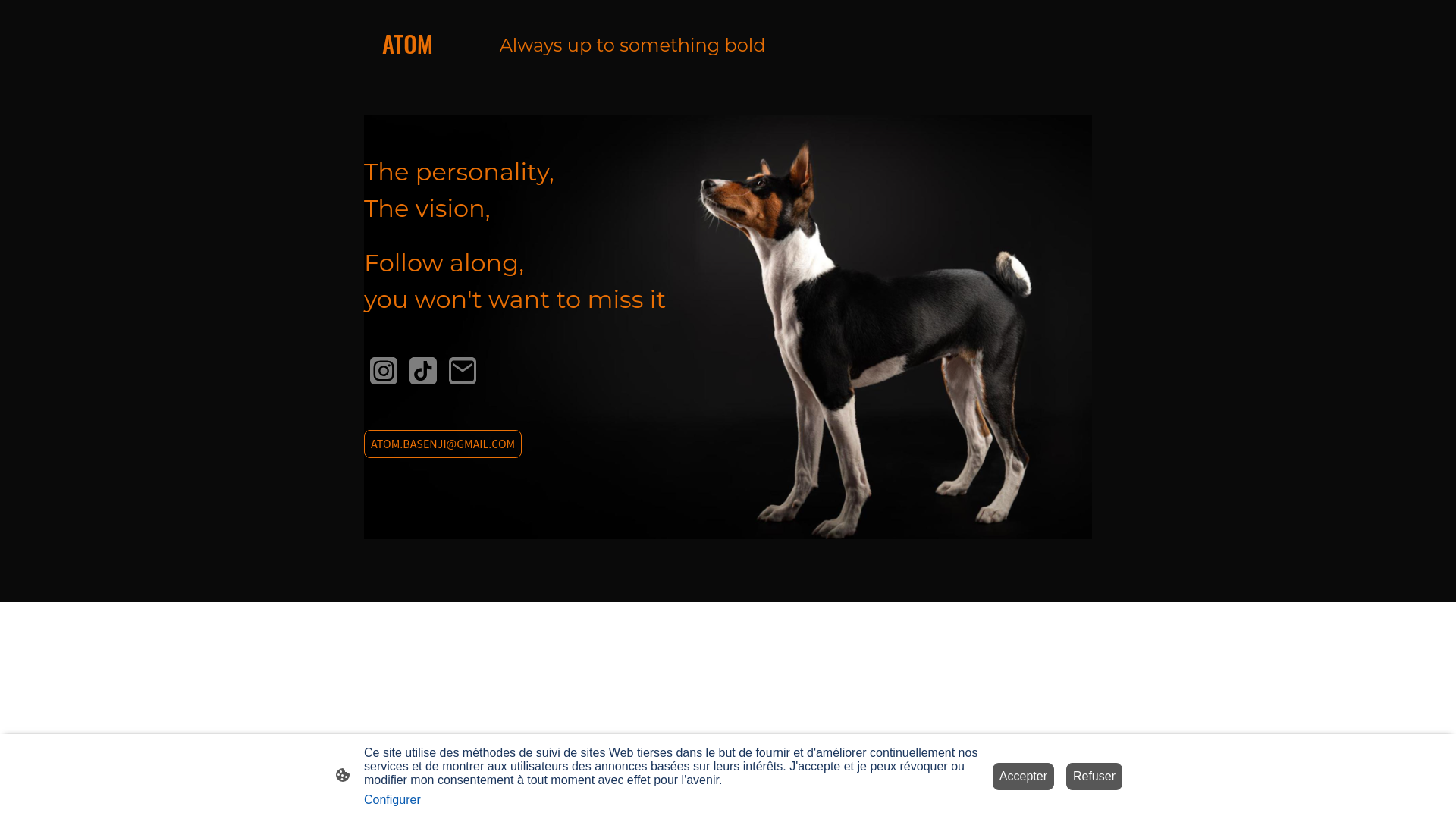 website screenshot of https://atomthedog.com/