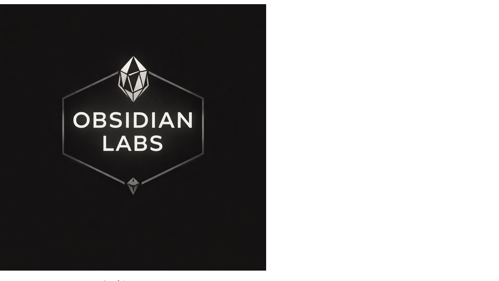 website screenshot of https://myobsidianlabs.com/