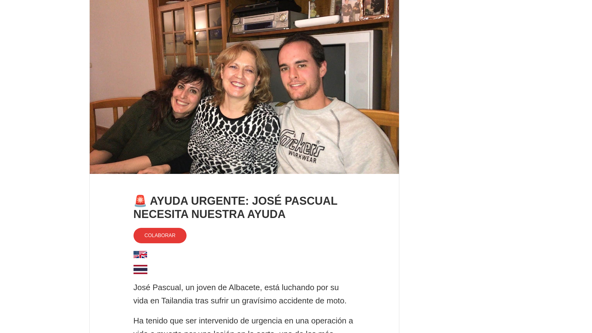 website screenshot of https://ayudaparajosepascual.com/