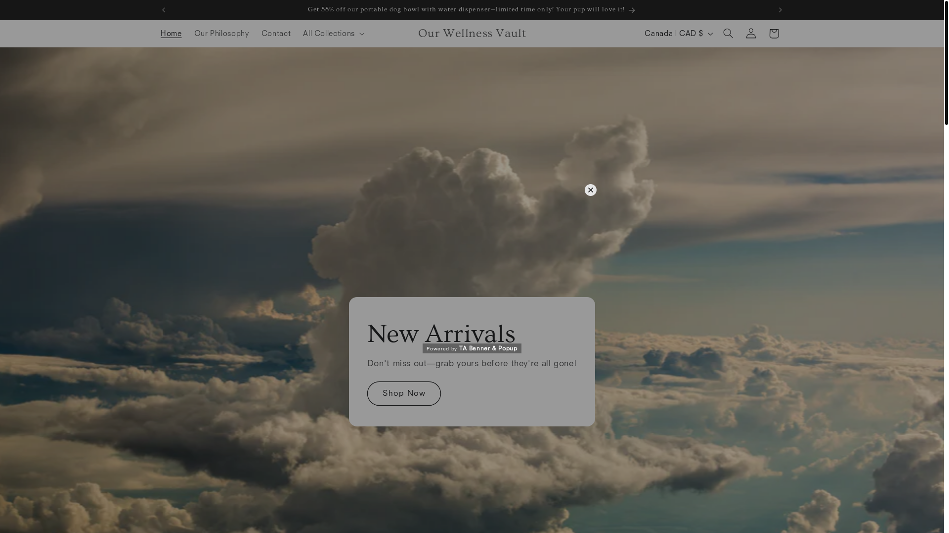website screenshot of https://ourwellnessvault.org/