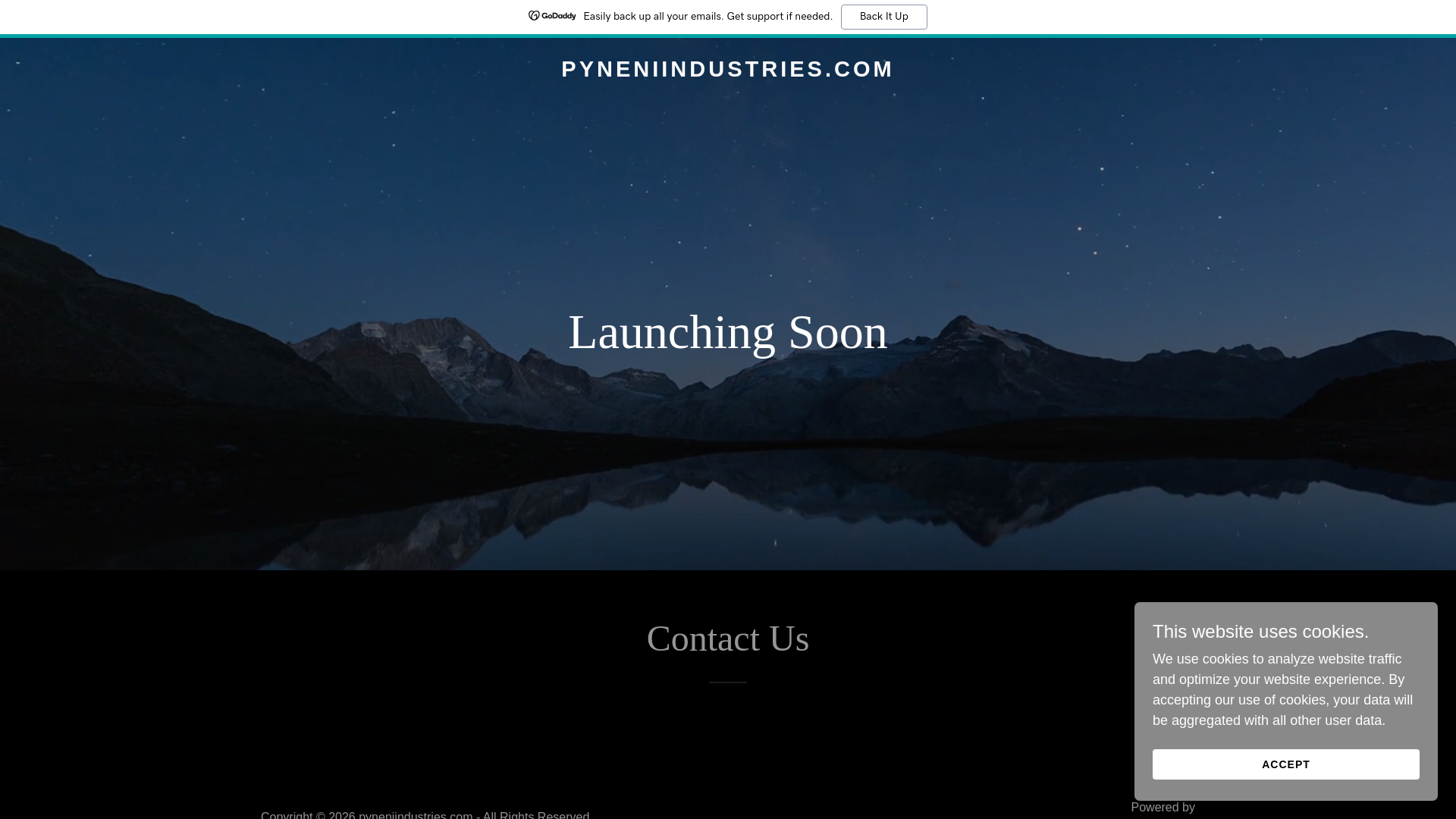website screenshot of https://pyneniindustries.com
