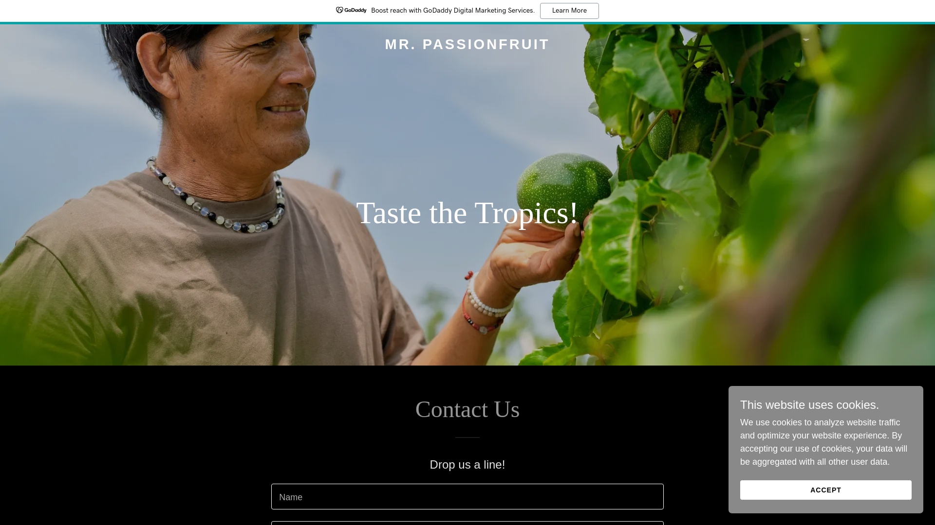 website screenshot of https://mrpassionfruit.com/