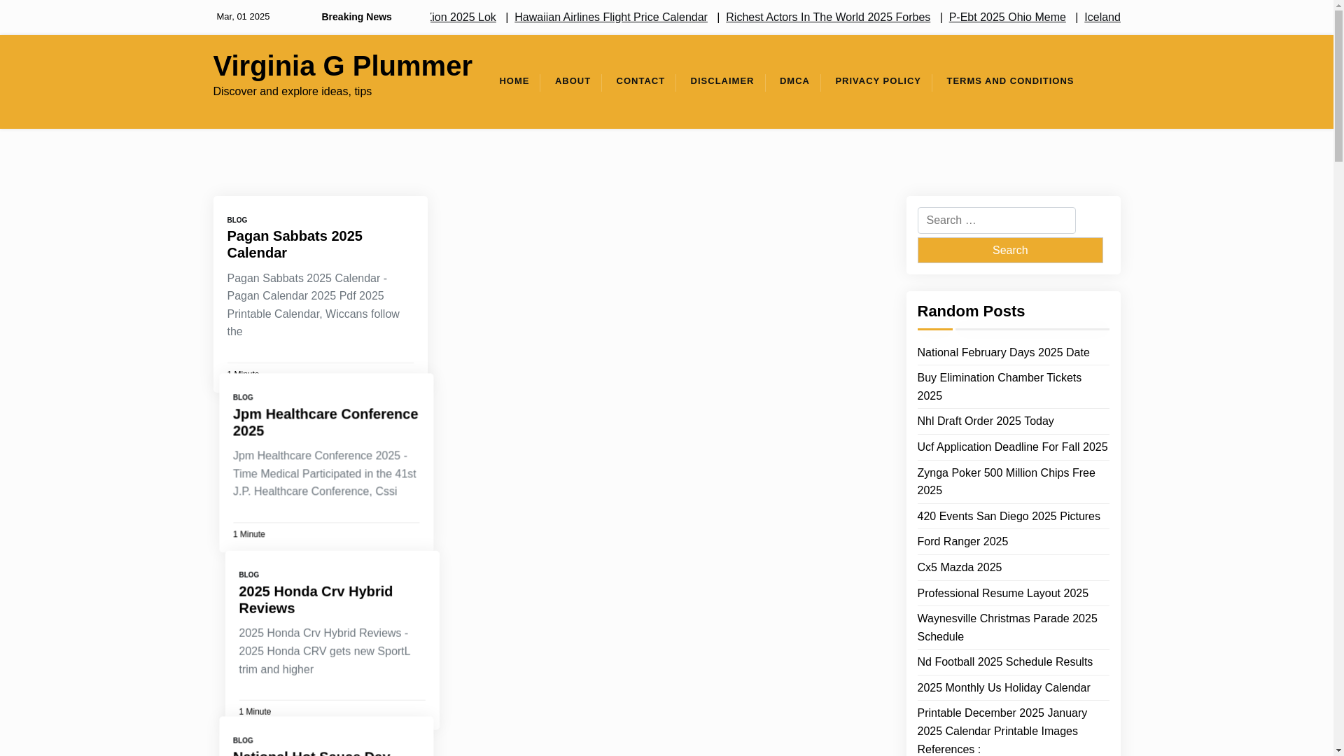 website screenshot of https://virginiagplummera.pages.dev/