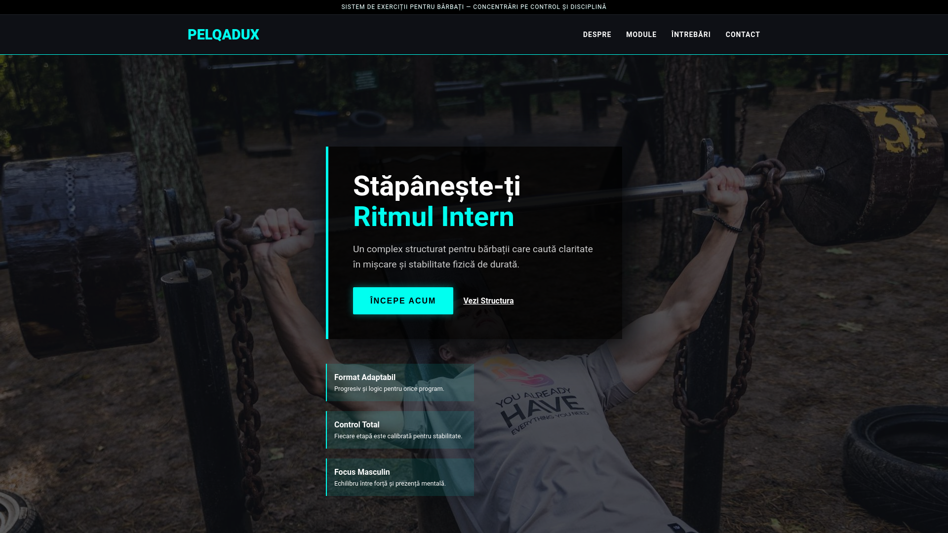 website screenshot of https://pelqadux.live/