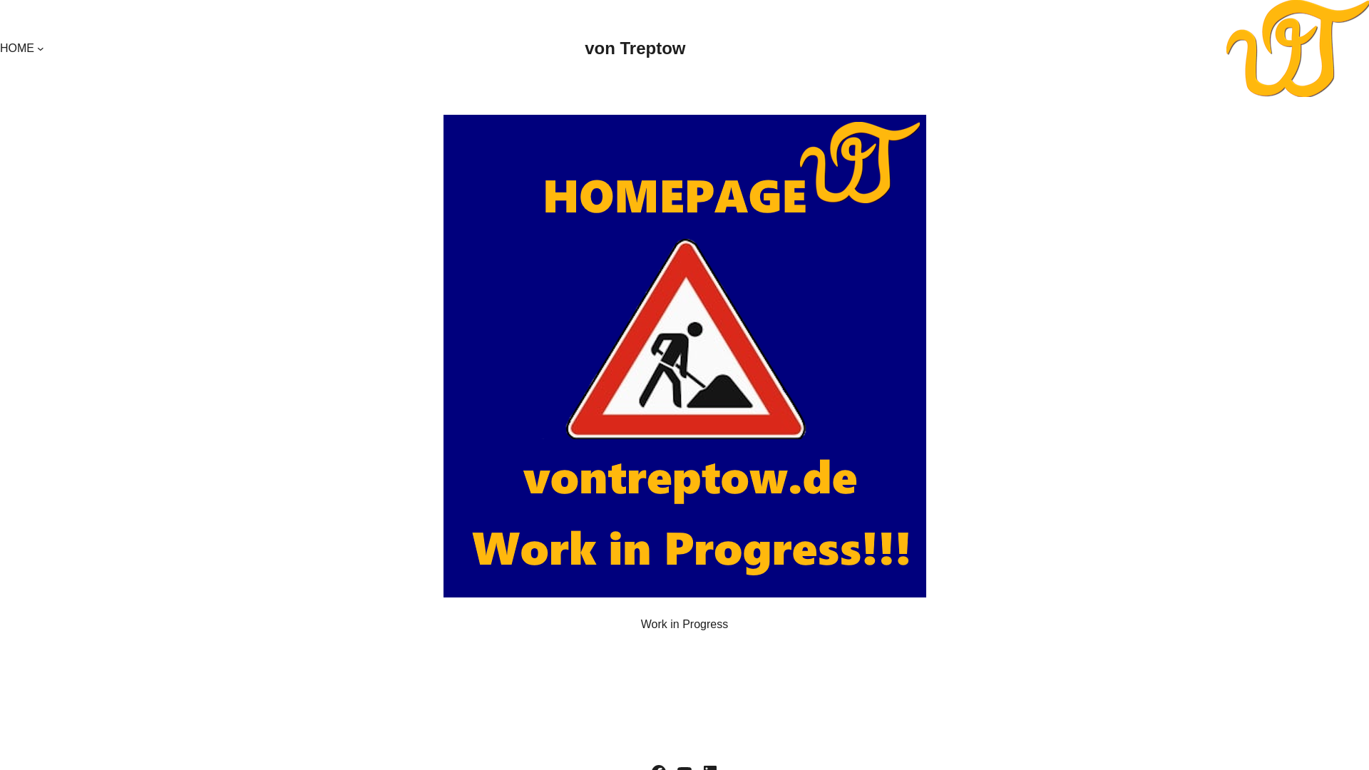 website screenshot of https://vontreptow.de/