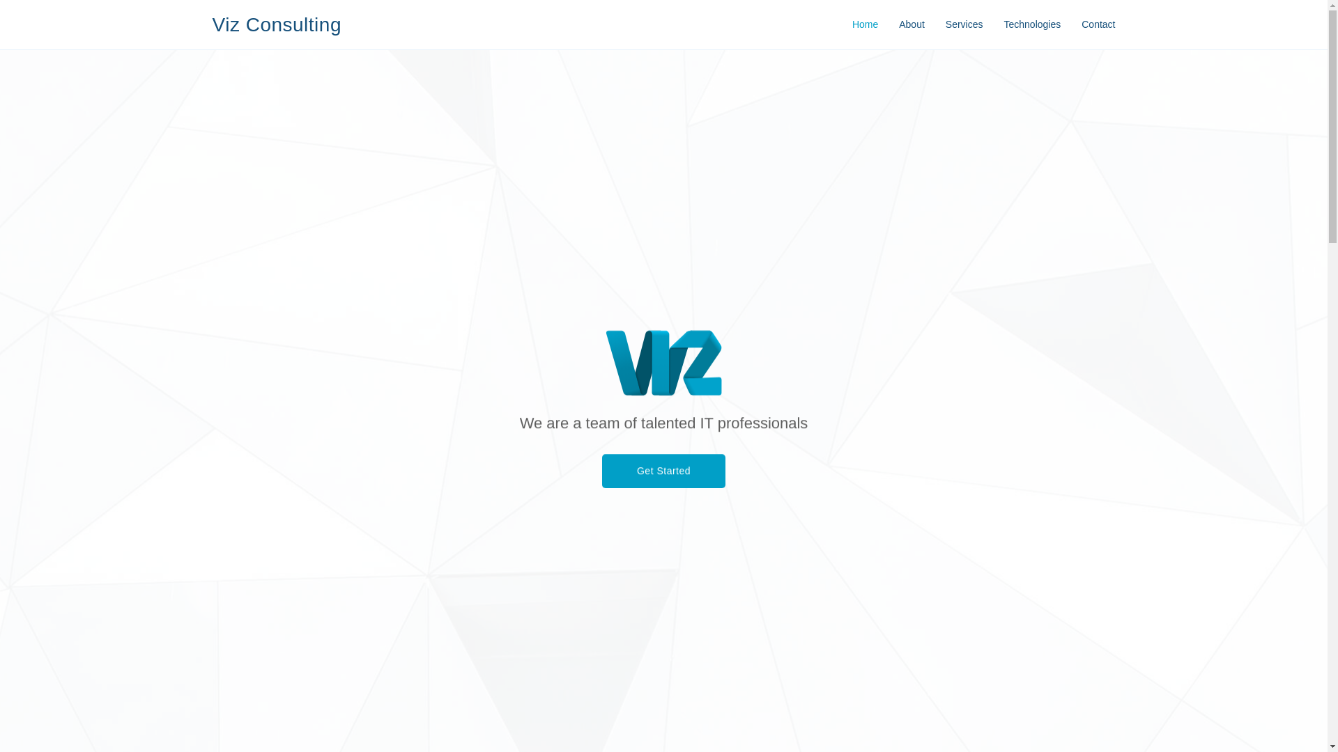 website screenshot of https://vizconsultingtech.com/