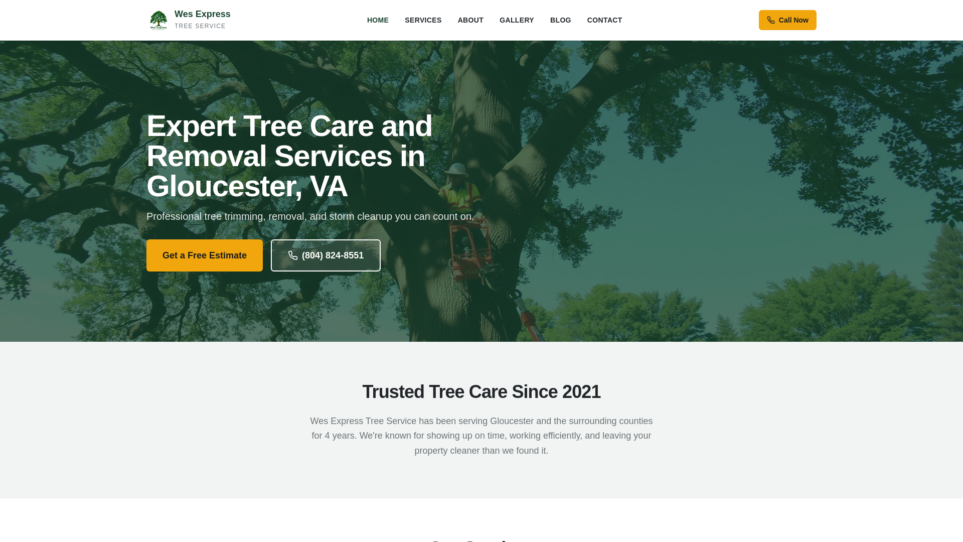 website screenshot of https://wesexpresstreeservice.com
