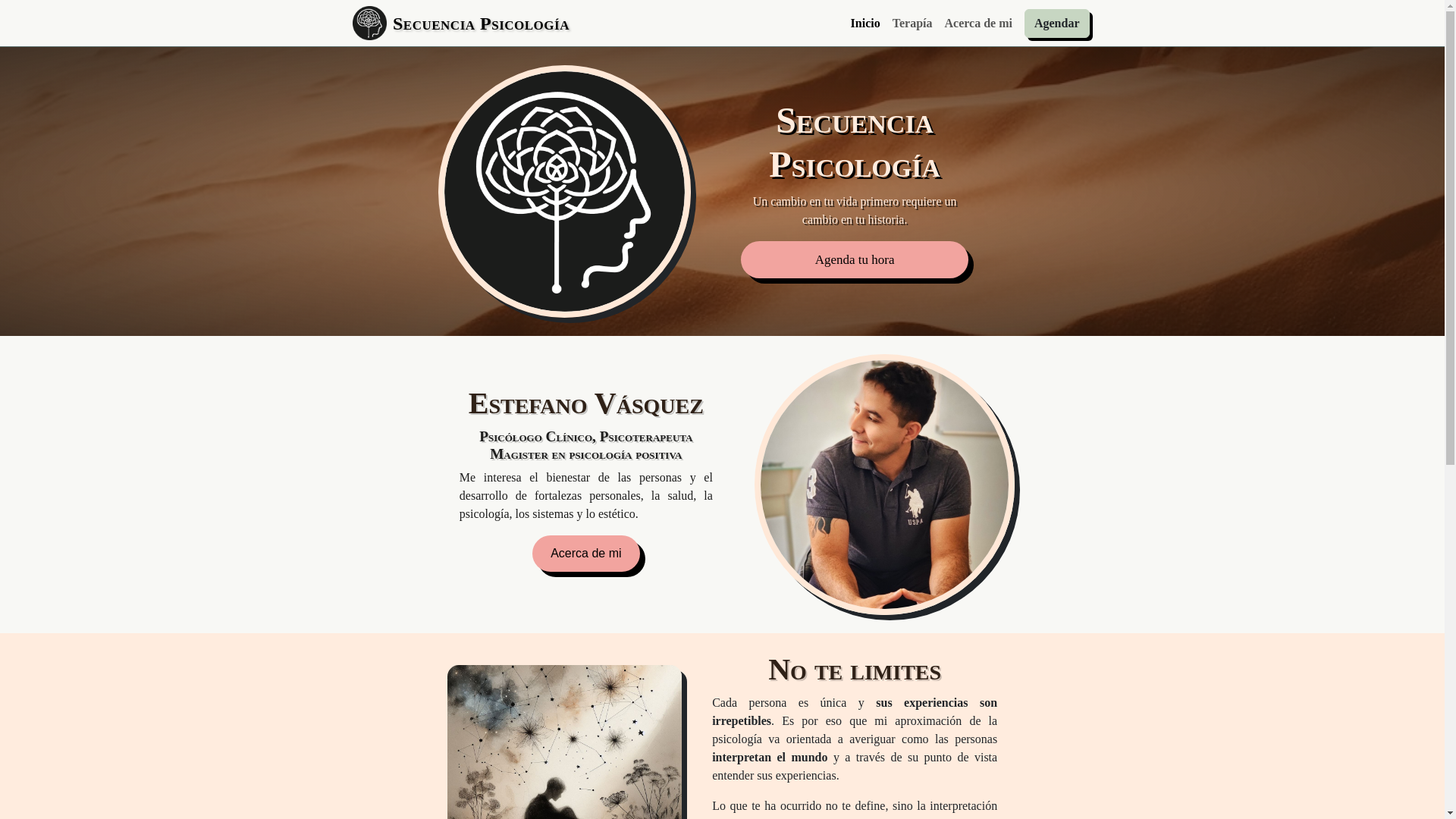 website screenshot of https://secuenciapsicologia.cl/