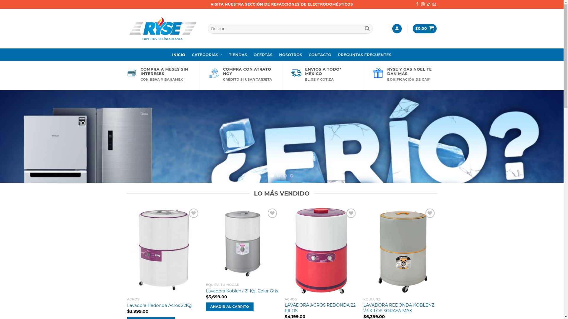 website screenshot of https://rysemexico.com/